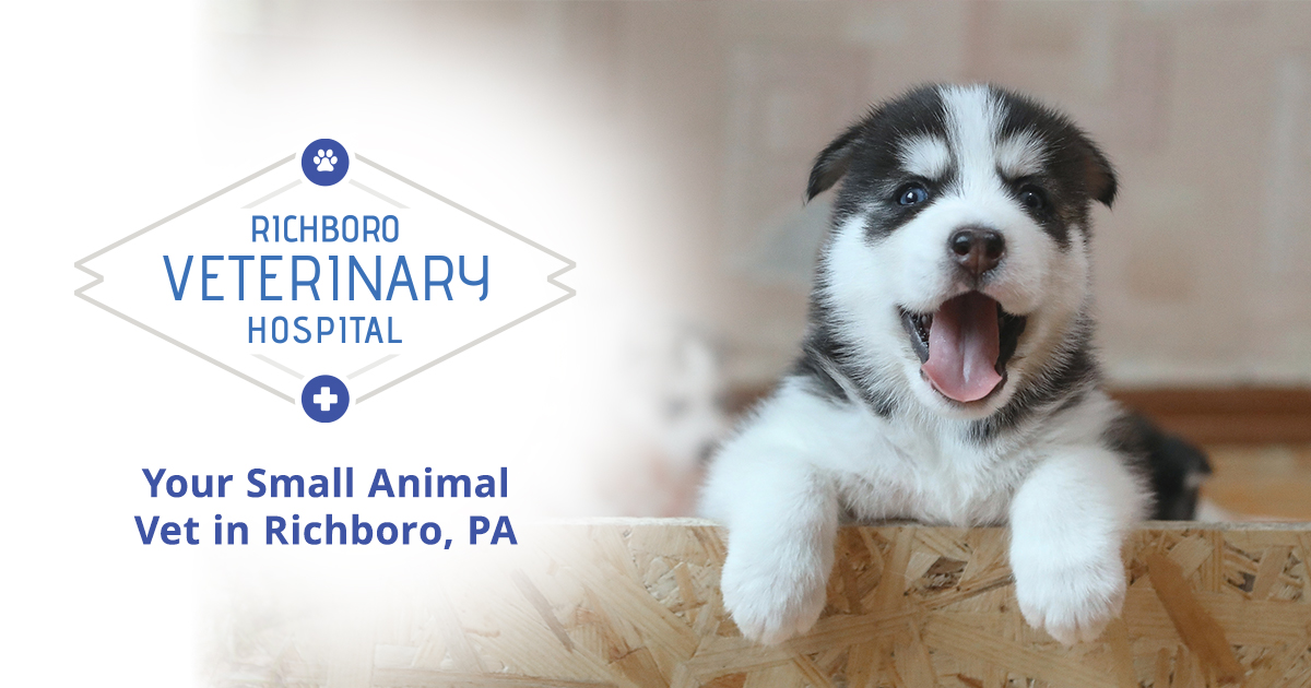 Richboro Veterinary Hospital logo