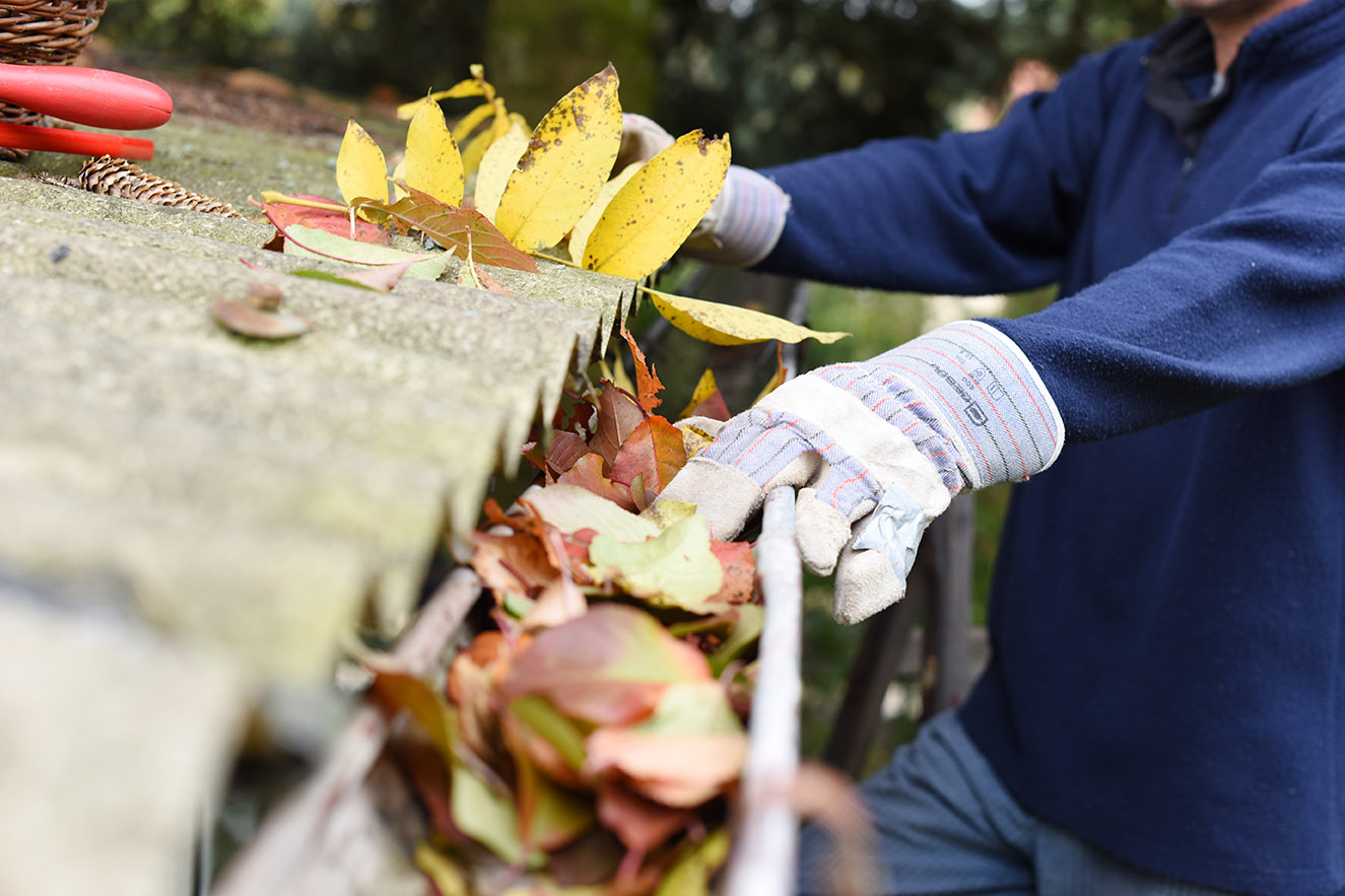 Gutter Repair and Cleaning in San Diego