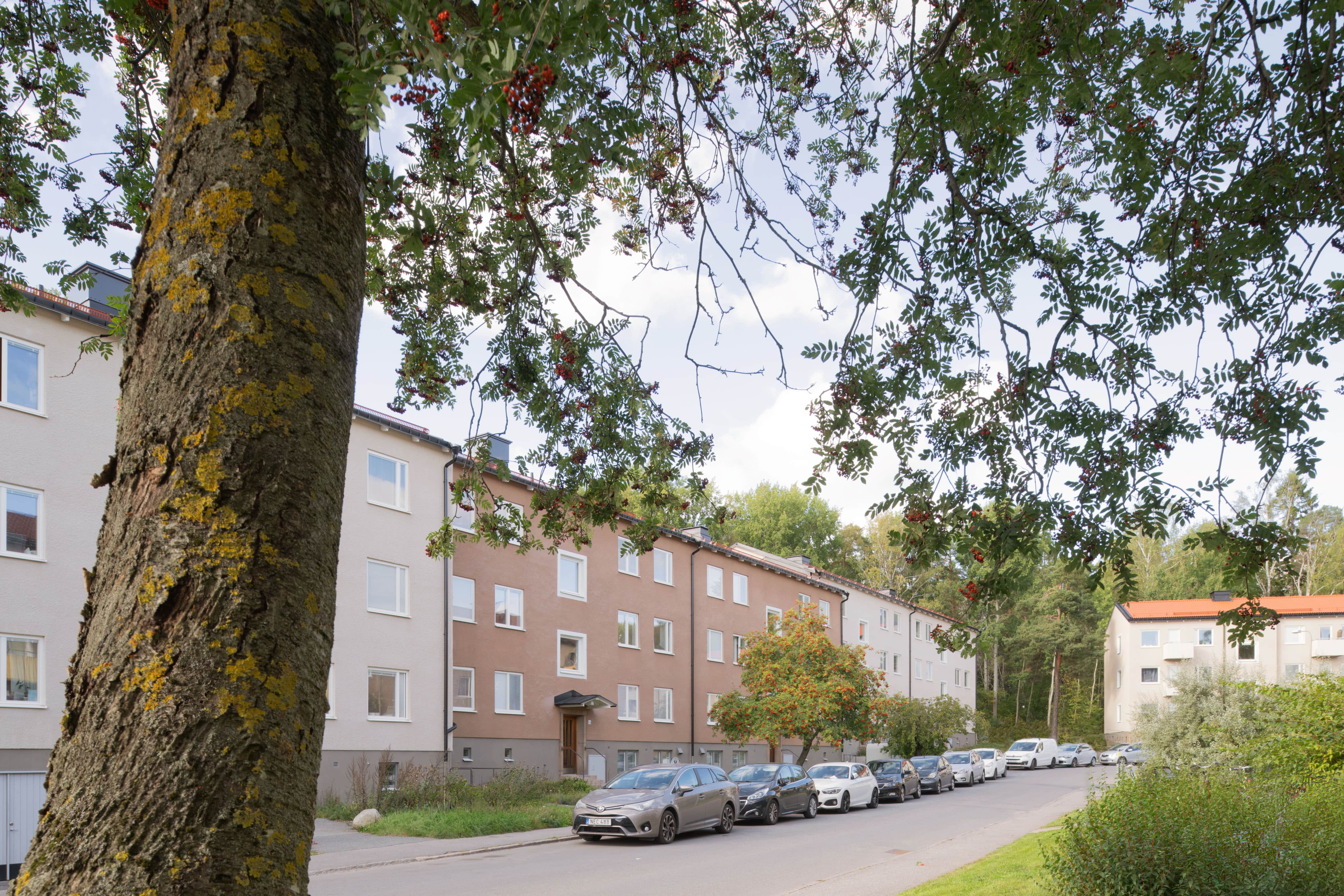 Kvarteret Hattsvampen, en lugn enkelriktad gata med lägenhetshus i tre våningar.