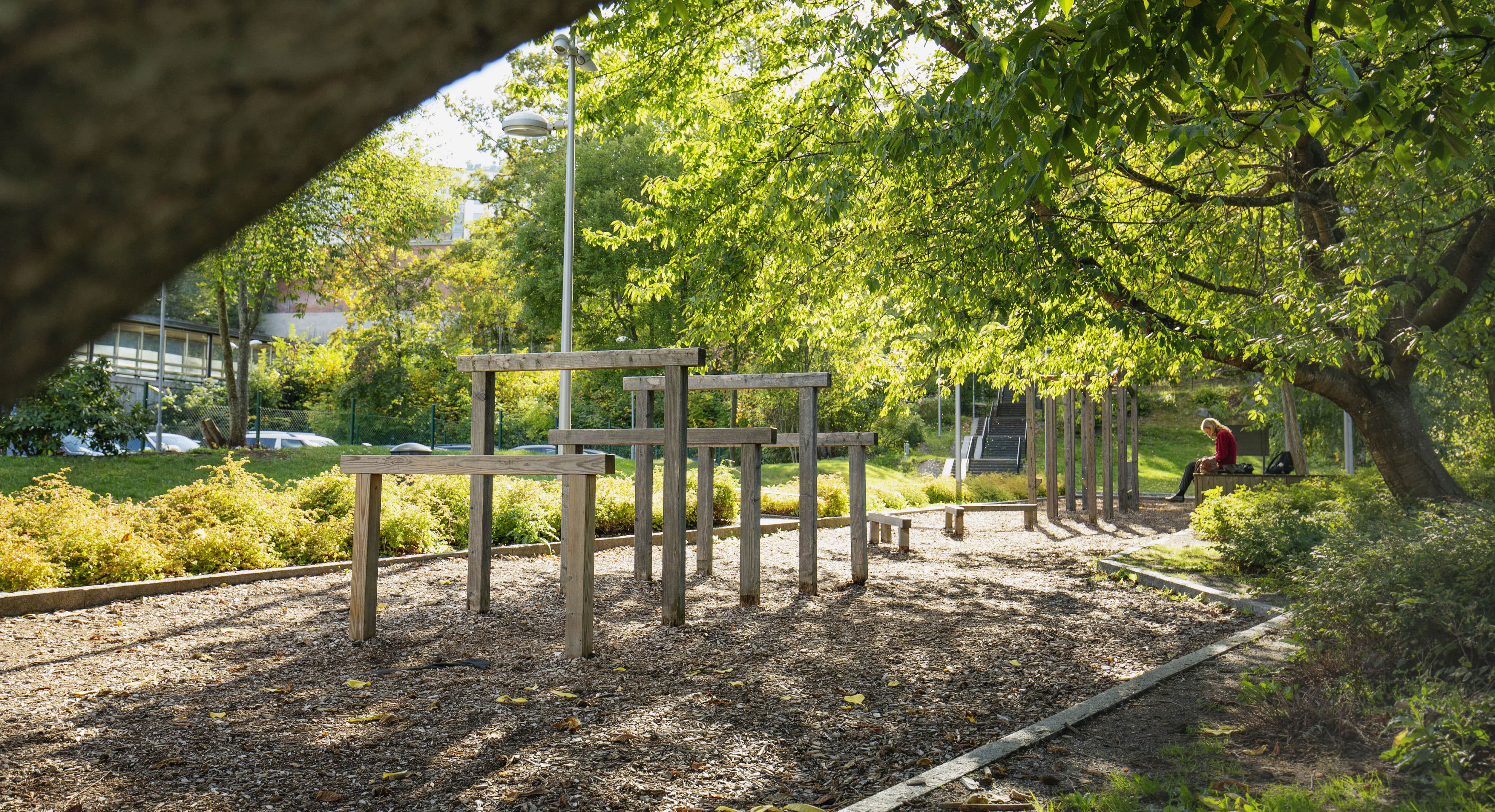 Ett foto från Trekantsparken med mycket grönska och en hinderbana i trä för både barn och vuxna.