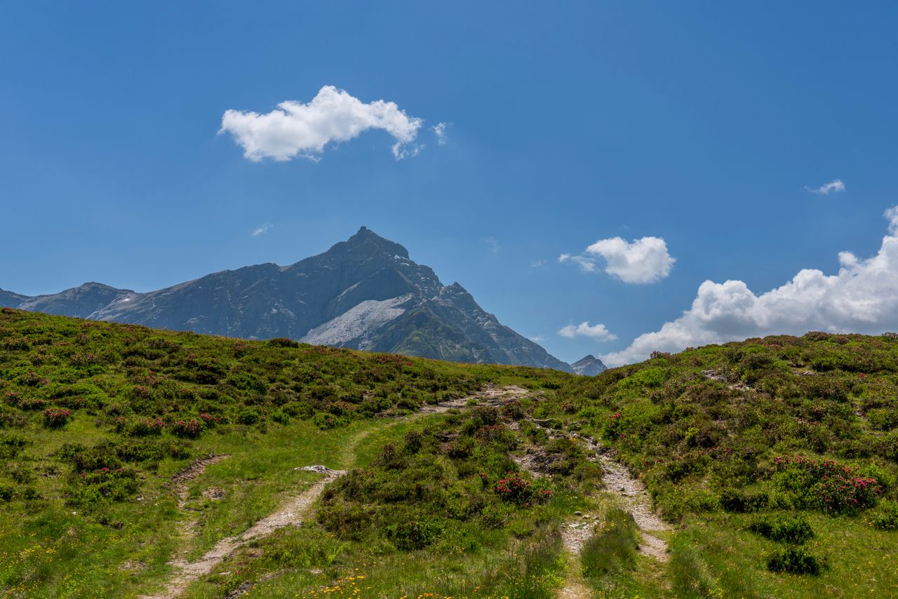 Gemeinsam den Berg besteigen.