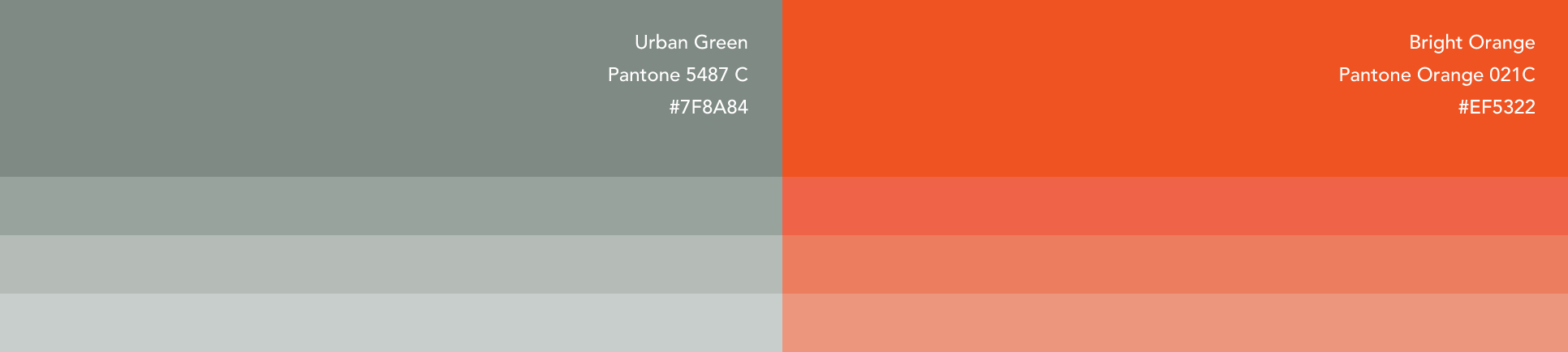 color palatte for LIIKO: Urabn green and bright orange