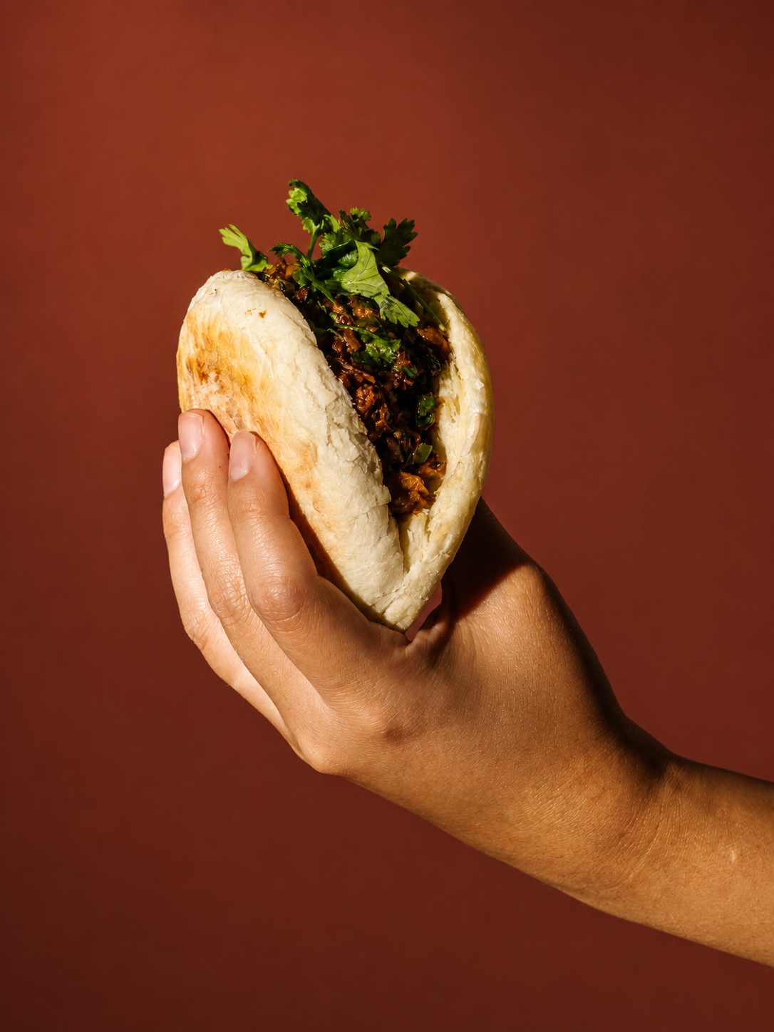 Hand holding pita bread filled with cooked meat and fresh cilantro against brown background.