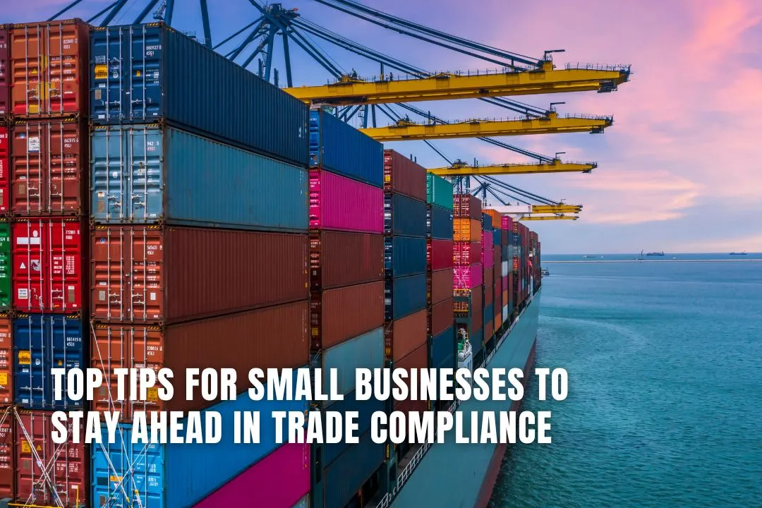 Top Tips for Small Businesses to Stay Ahead in Trade Compliance