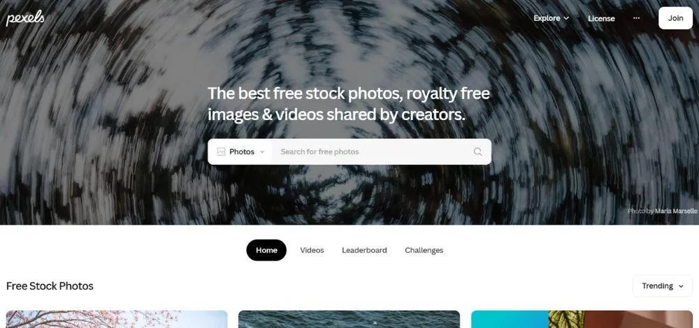 Pexels design and image tool