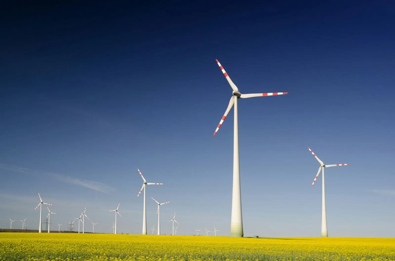 wind turbines making renewable energy