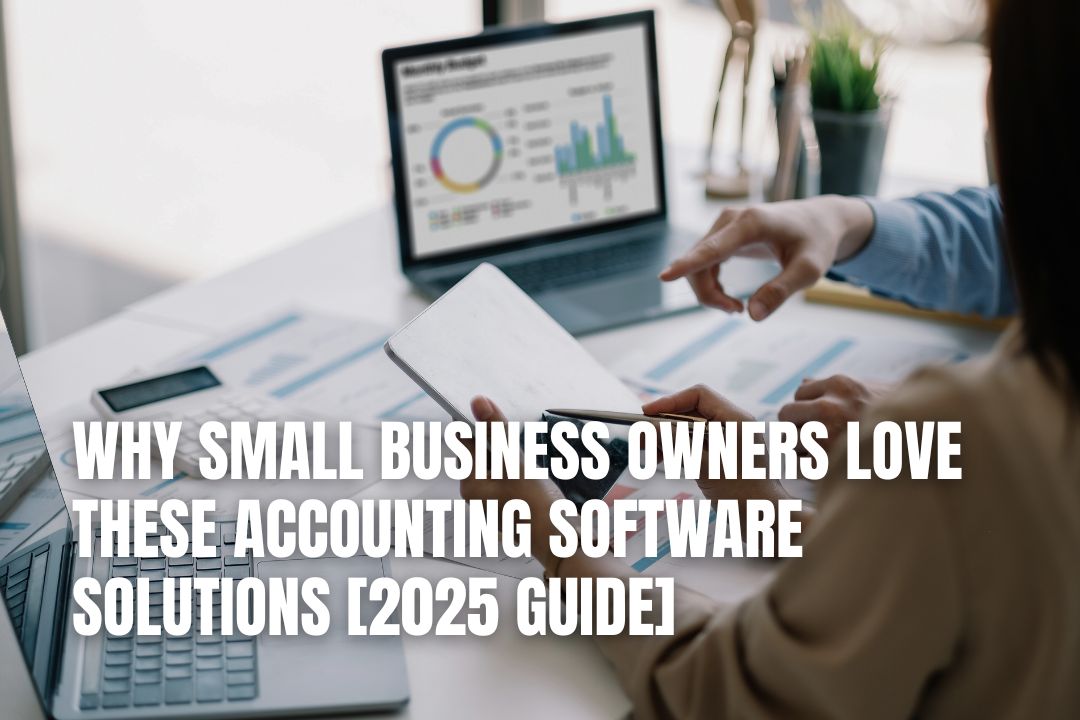 Why Small Business Owners Love These Accounting Software Solution