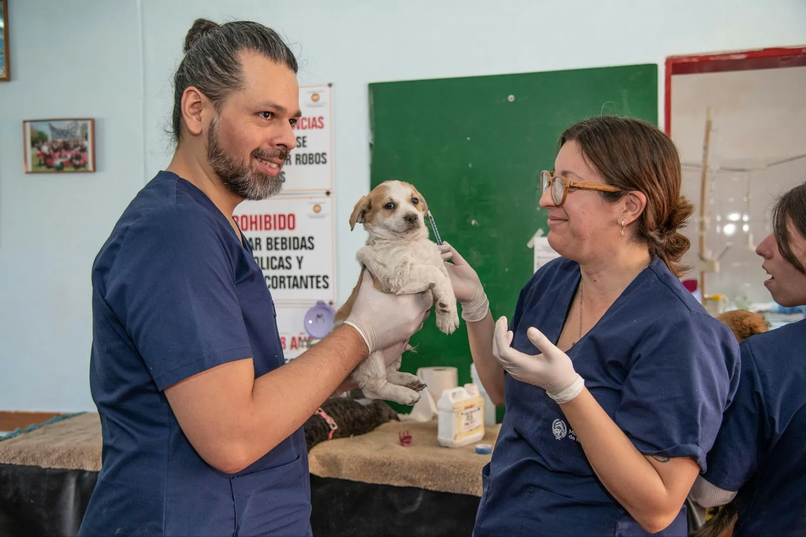 Male and female vet holding a puppy