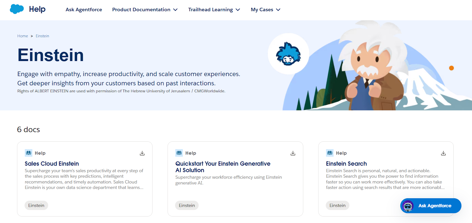 Salesforce Einstein