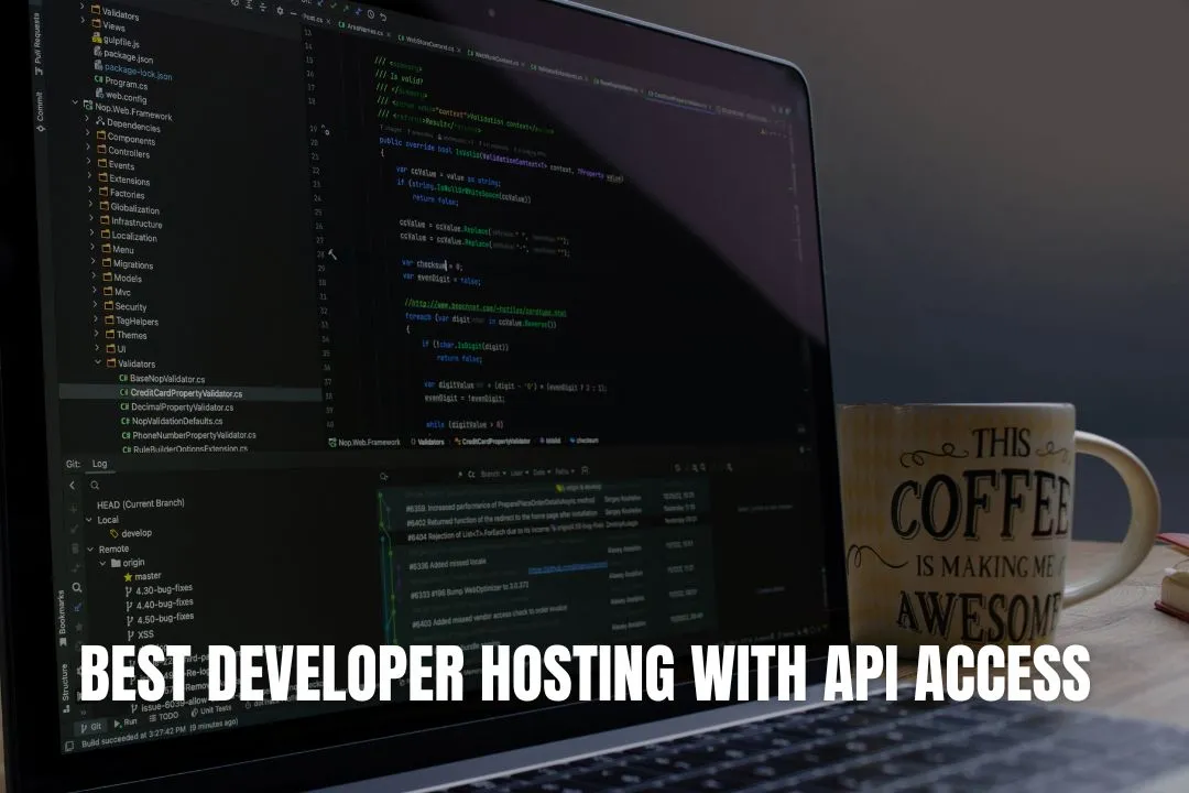 Best Developer Hosting With API Access