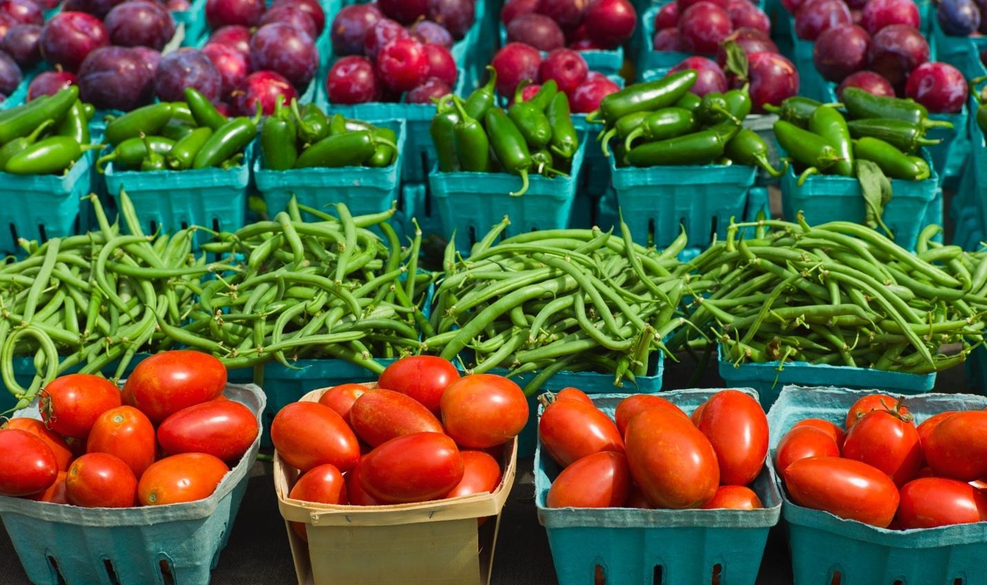 Close-up of rows of produce in boxes: Roma tomatoes, string beans, jalapeños, plums