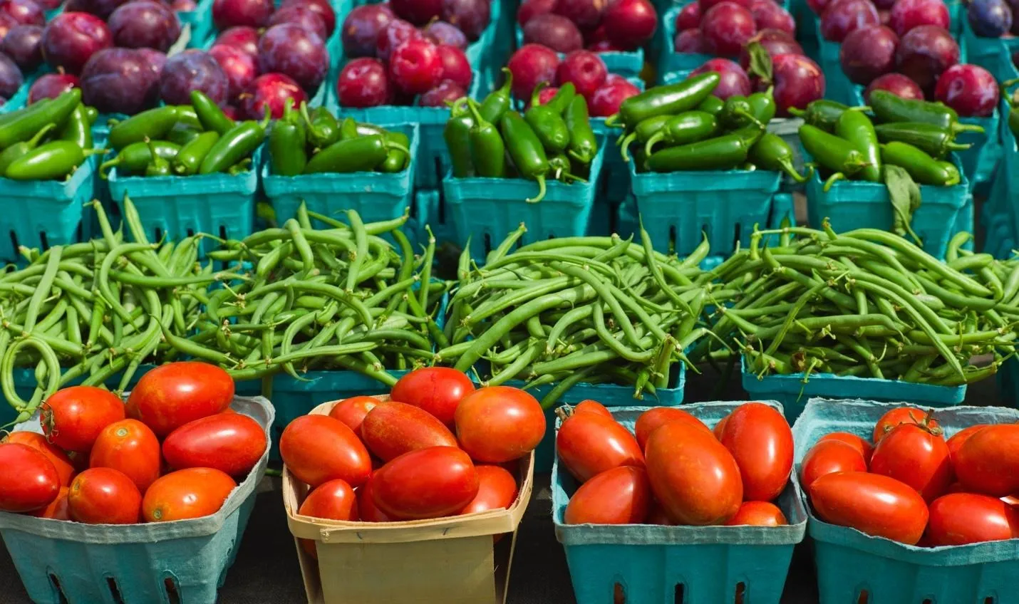Close-up of rows of produce in boxes: Roma tomatoes, string beans, jalapeños, plums