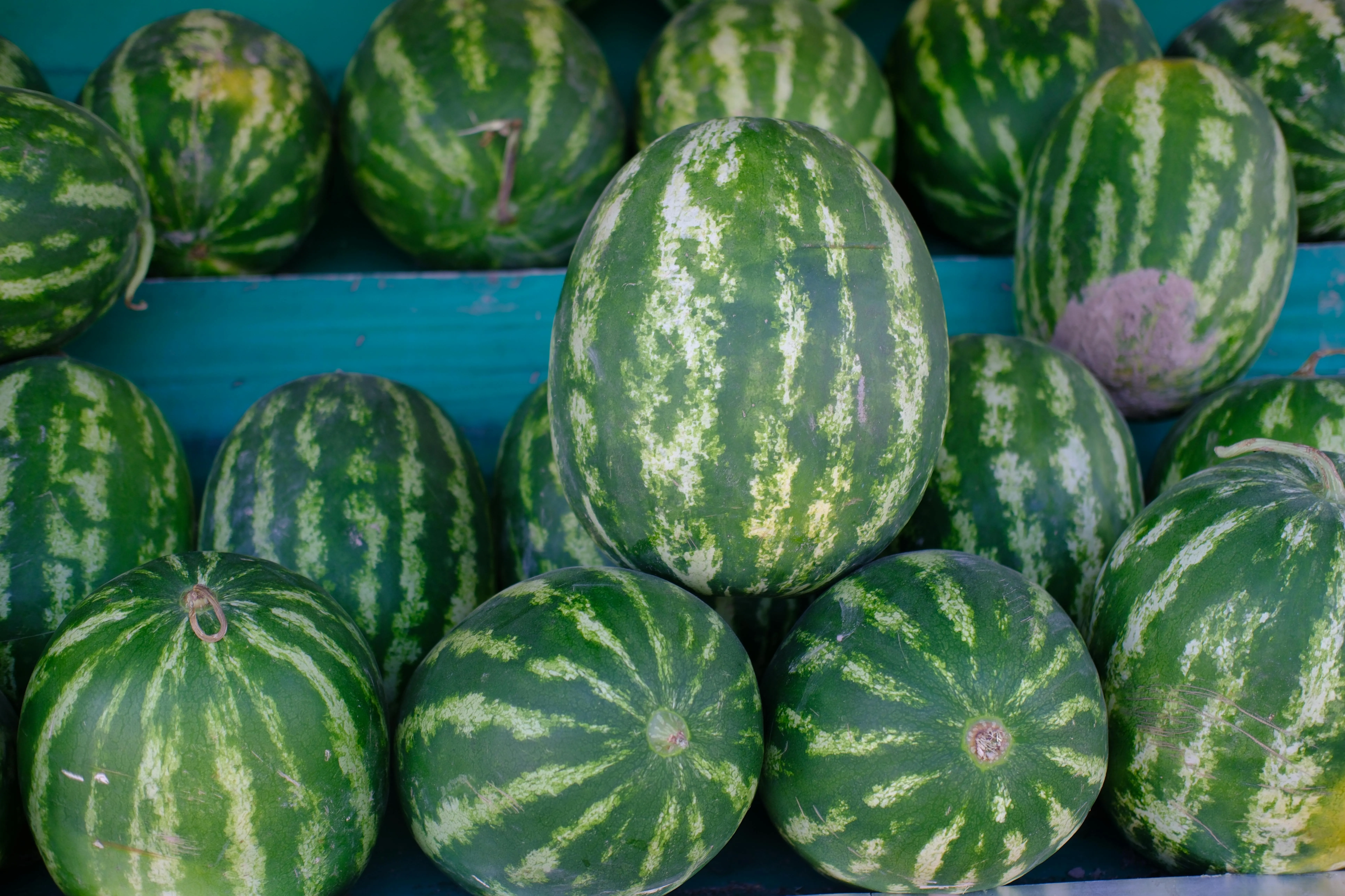 Watermelon effect
