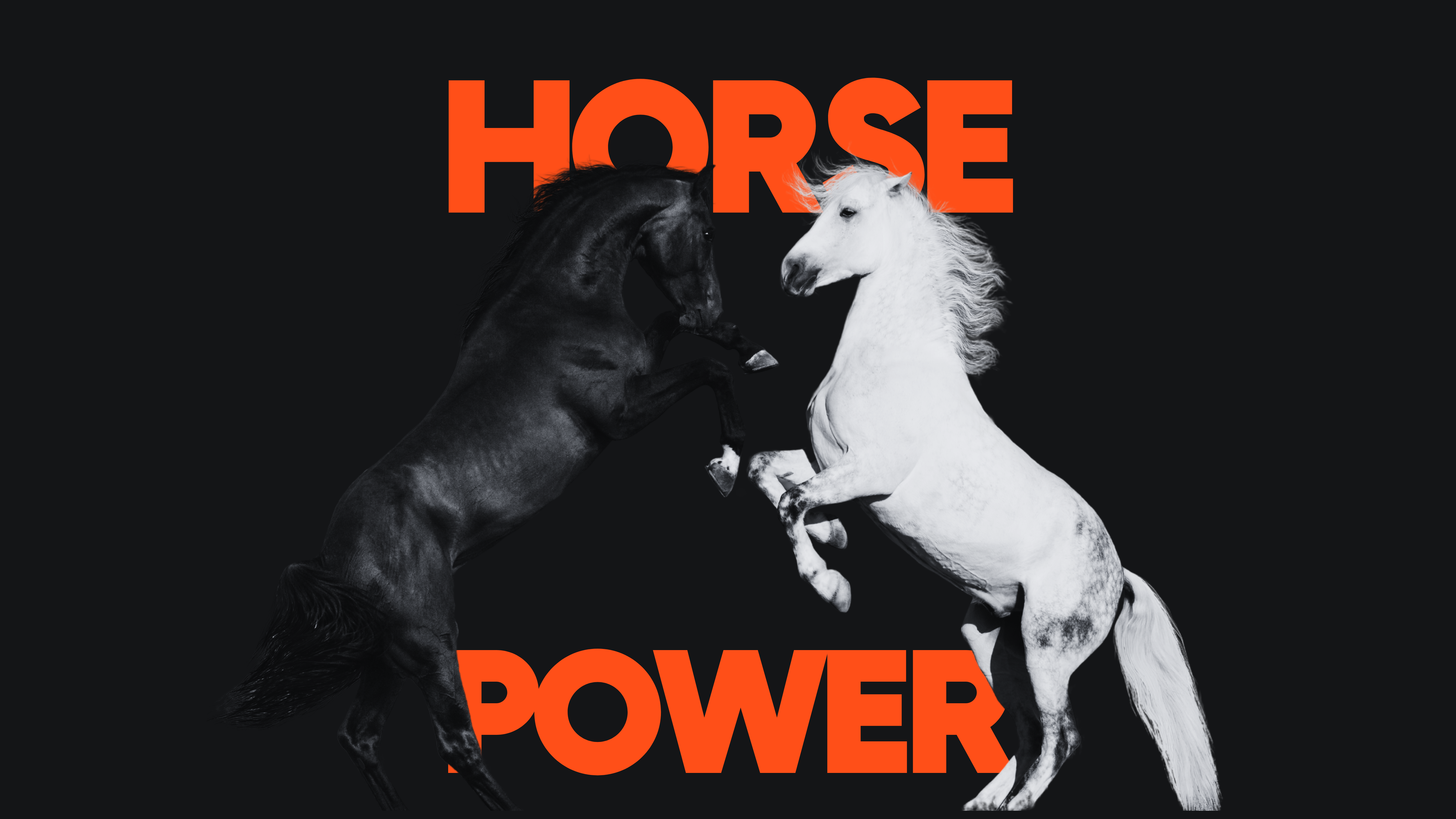 Sami Curtis, content strategist at Momentic