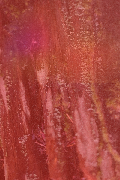 Website homepage of 367 Ventures with text: 'Hi, we're Three Sixty Seven. We power the people behind the idea.'