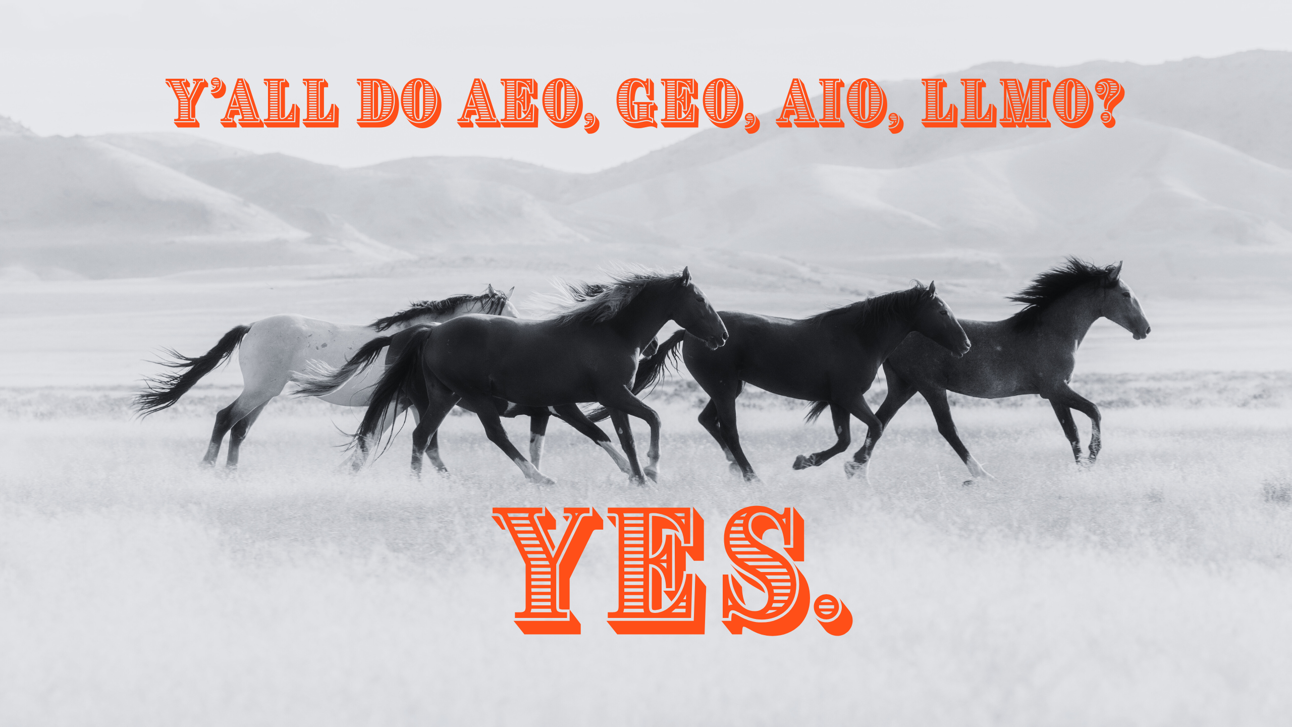 Y'all do AEO, SEO, AIO, LLMO? Yes.