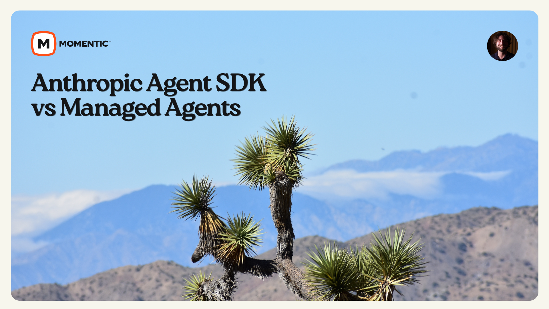 Anthropic Managed Agents Vs. Agent SDK