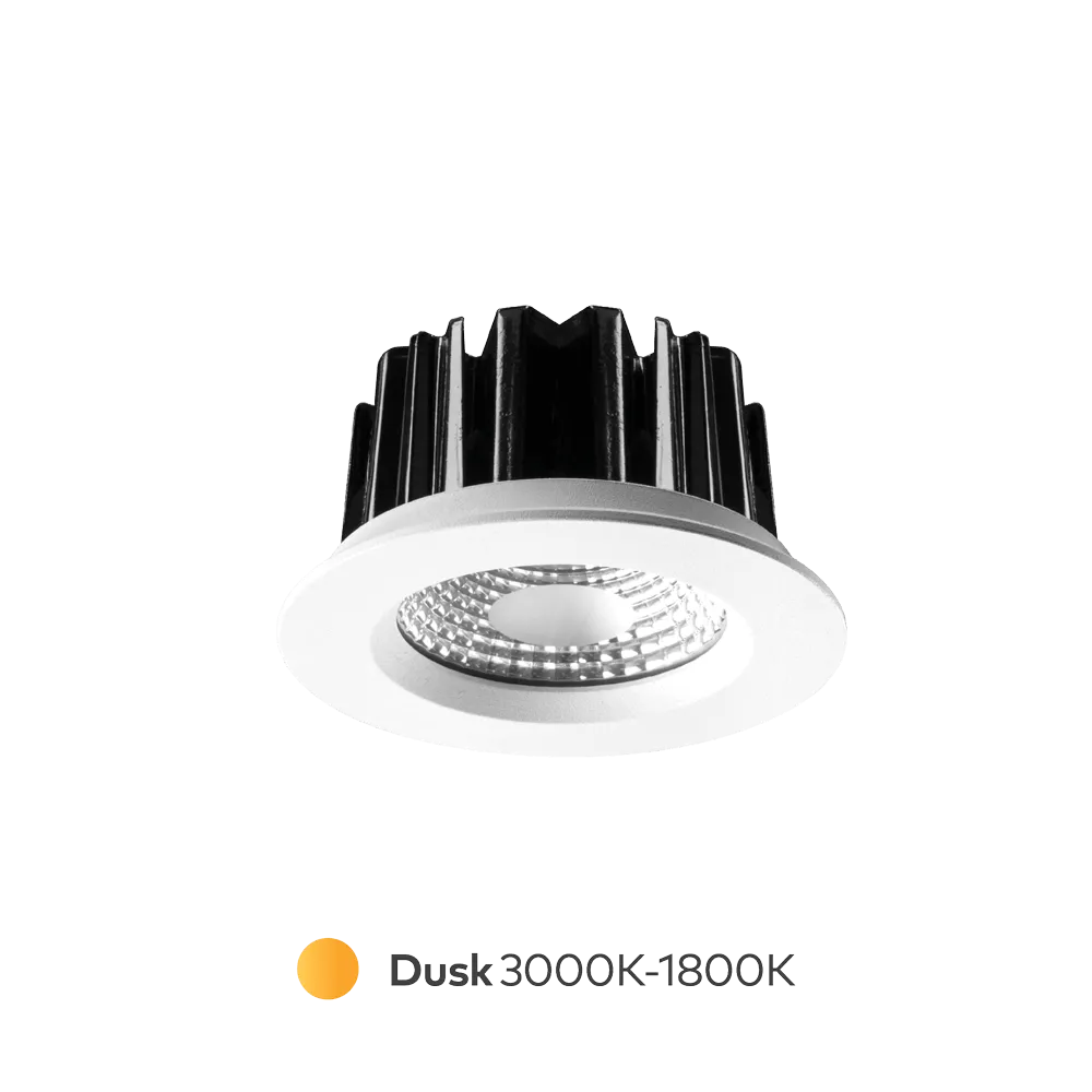 Apex Dusk Downlight