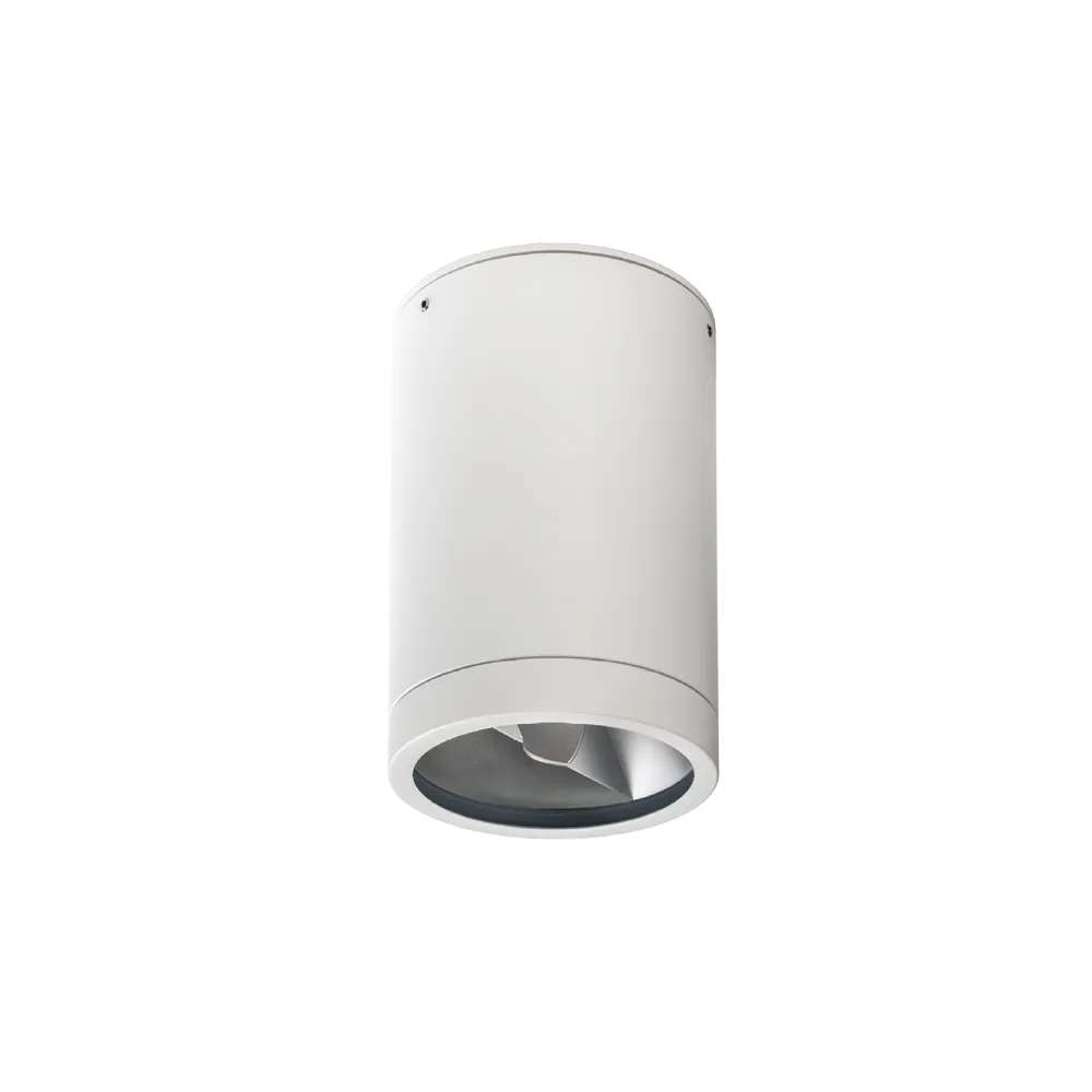 Athena G2 Surface Mounted Downlight