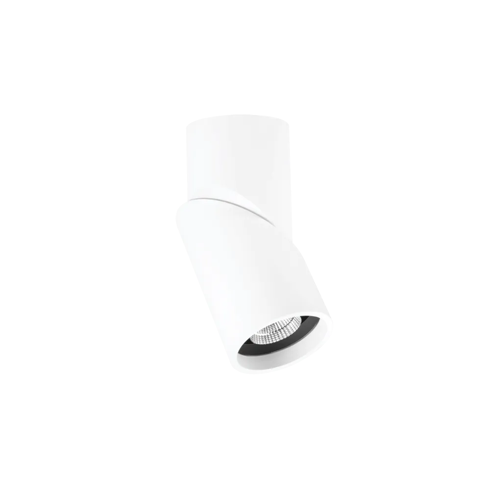 Axis Surface Mounted Downlight