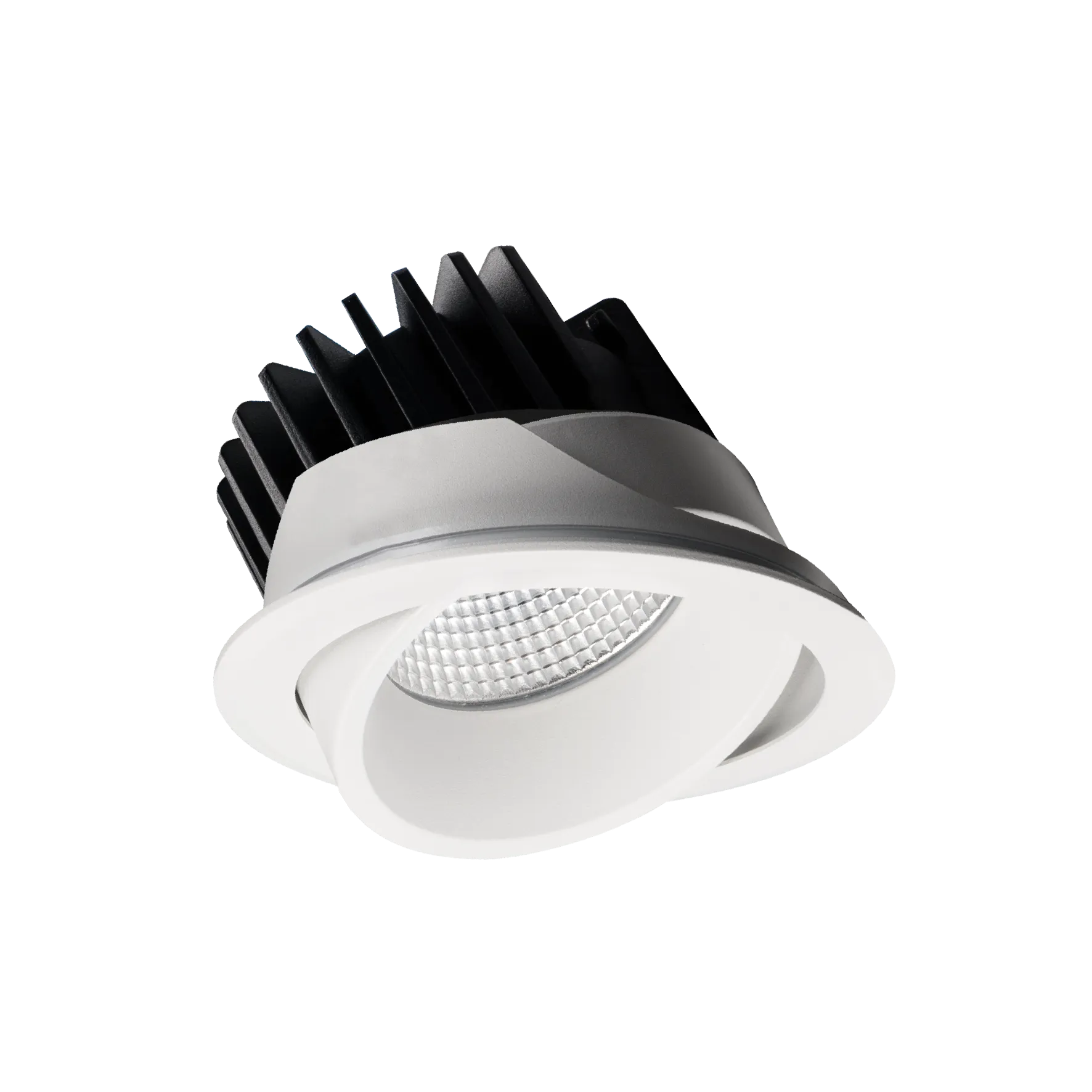 EQ Tilt Downlight