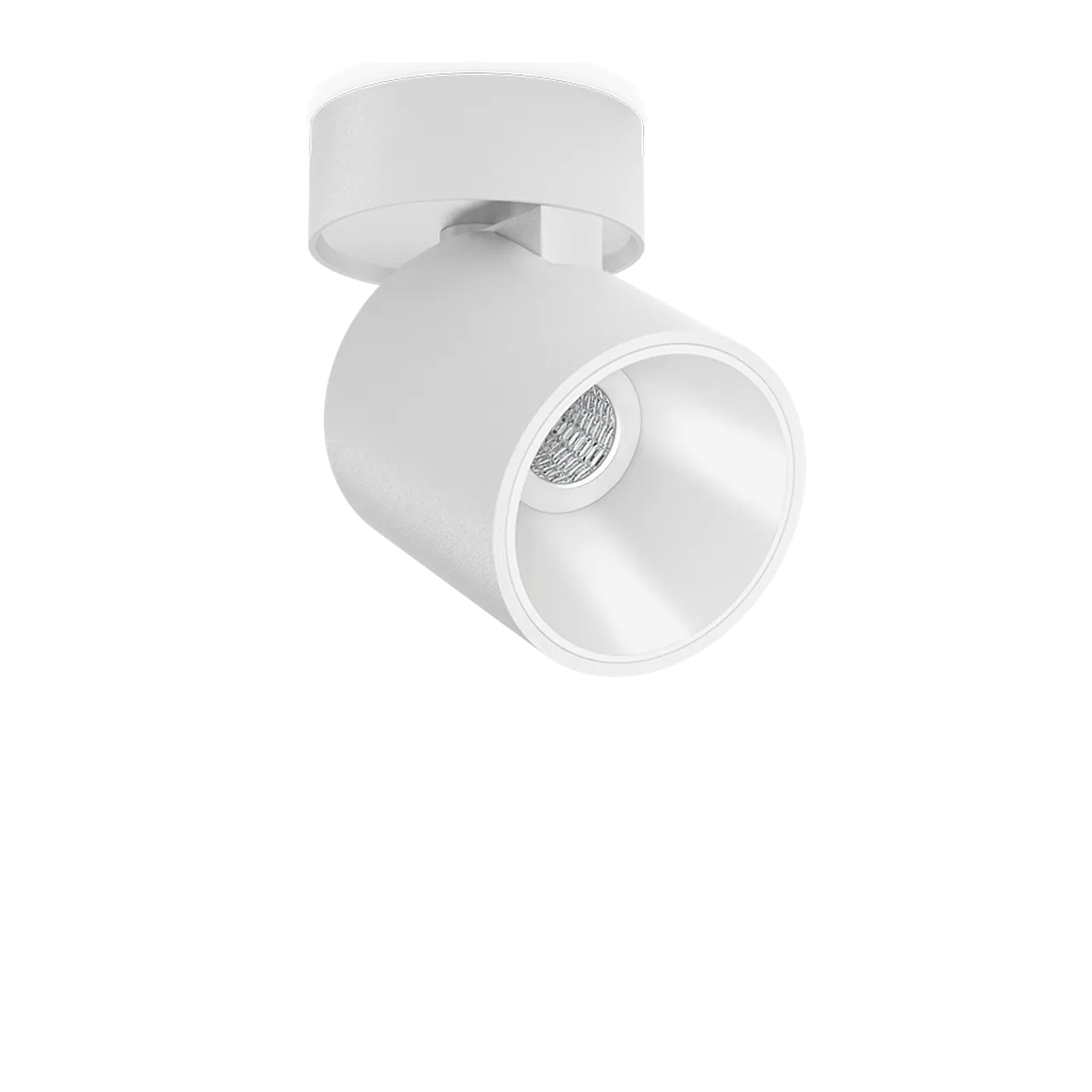 Flip Surface Mounted Downlight
