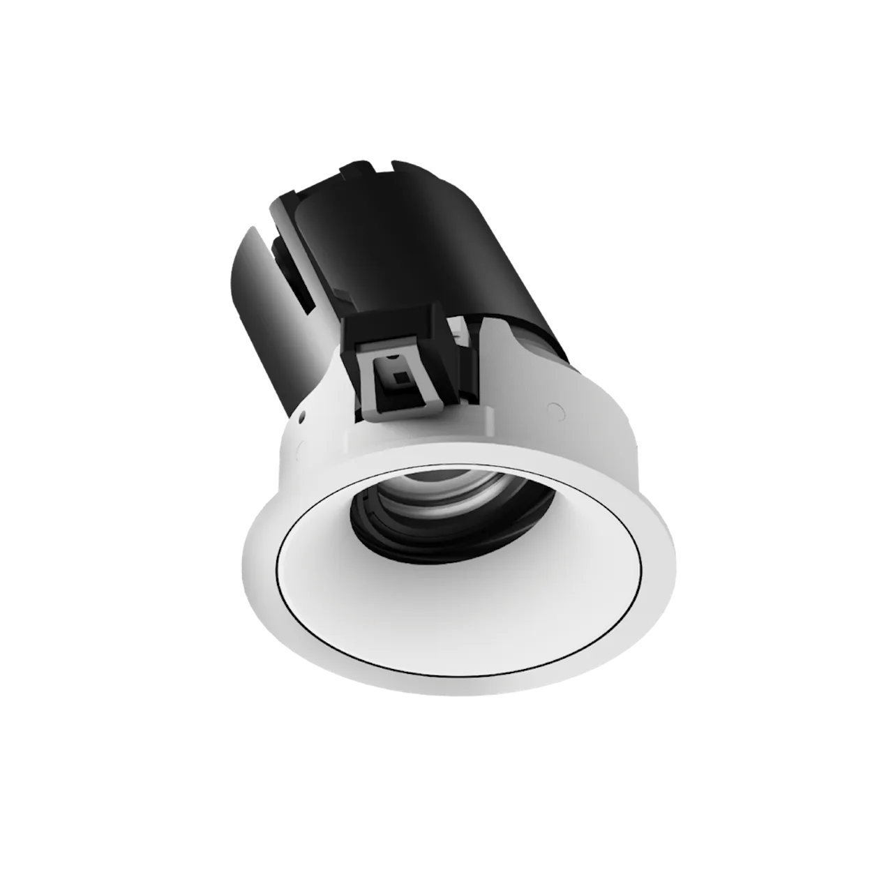 ION R Adjustable Downlight