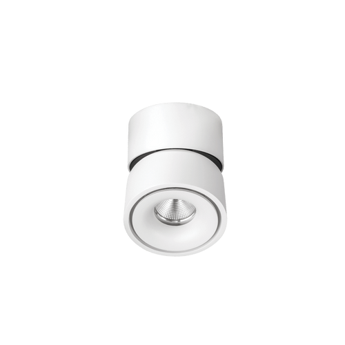 Kinetic Downlight
