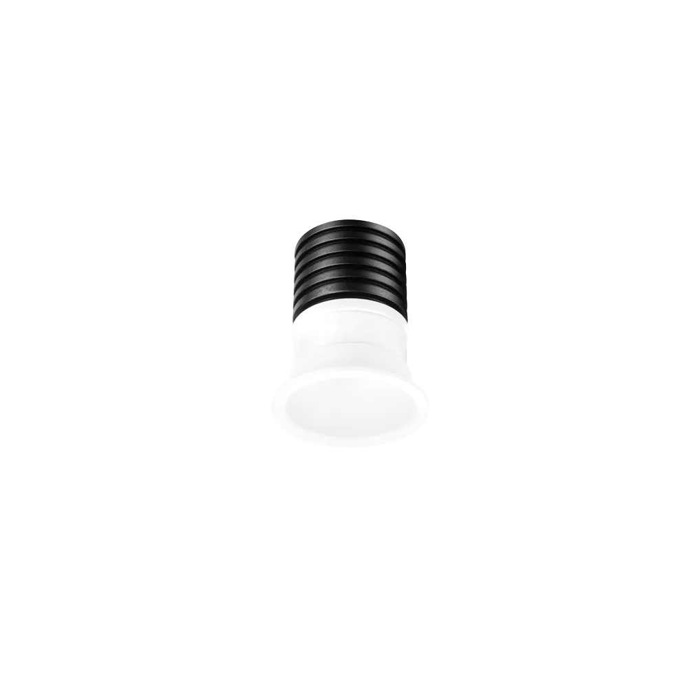 Titanium Starlight Downlight