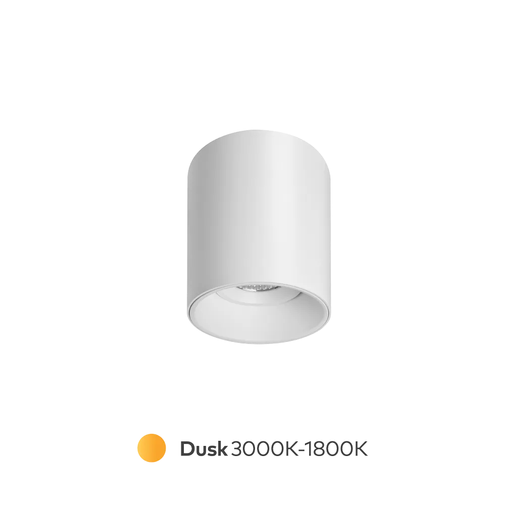 Titanium Dusk Surface Mounted Downlight