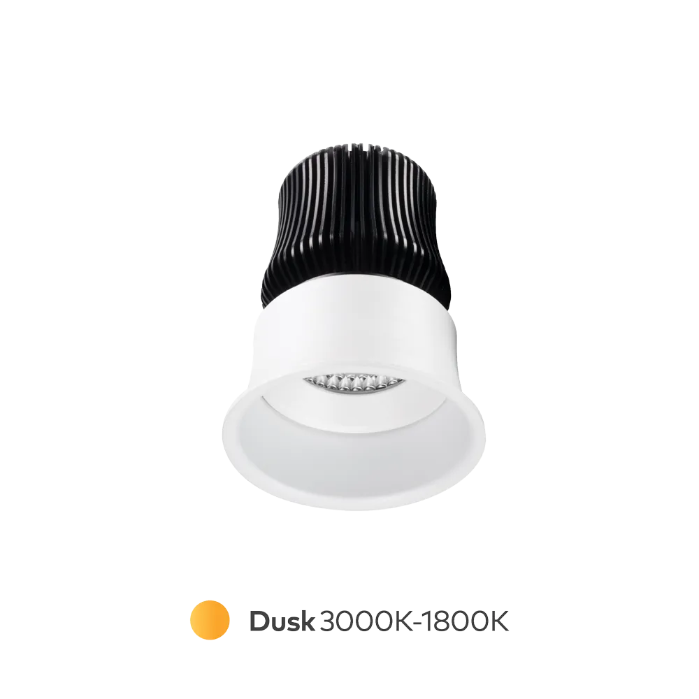 Titanium Dusk Downlight