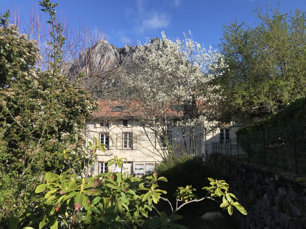 Maison partagée Toulouse centre et secteur St Cyprien - Patte d'Oie Copy