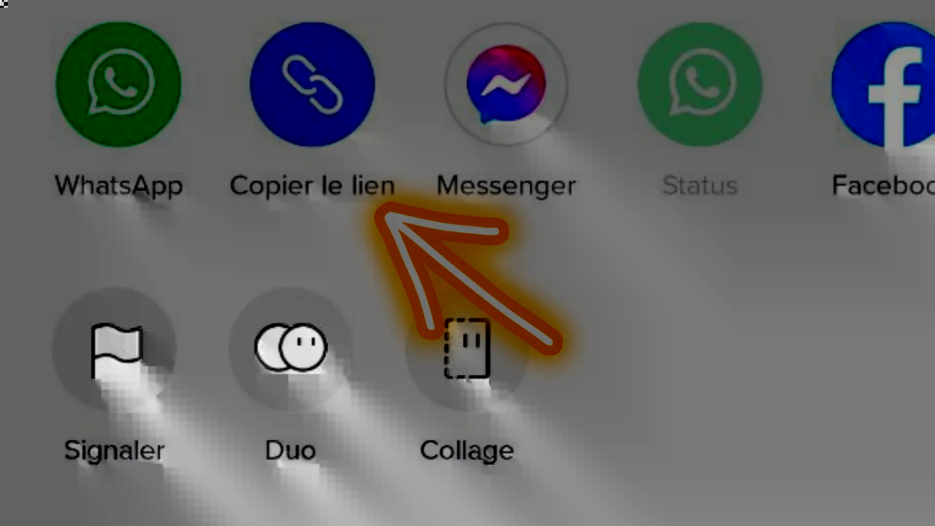 Comment copier le lien d'une vidéo TikTok pour la télécharger sans filigrane