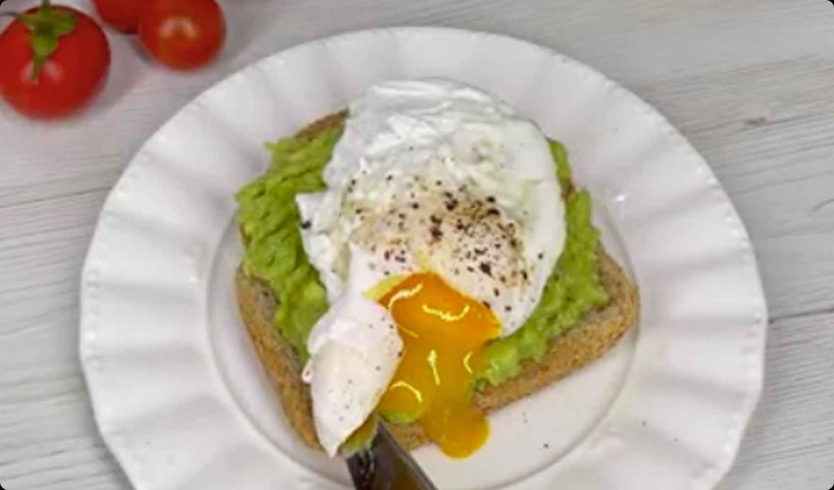 avocado toast 4/21–39 toast 9/28–49 avocado 10/31–46 fette di pane avocado toast 4/21–39 toast 9/28–49 avocado 10/31–46 fette di pane avocado toast 4/21–39 toast 9/28–49 avocado 10/31–46 fette di pane avocado toast 4/21–39 toast 9/28–49 avocado 10/31–46 fette di pane