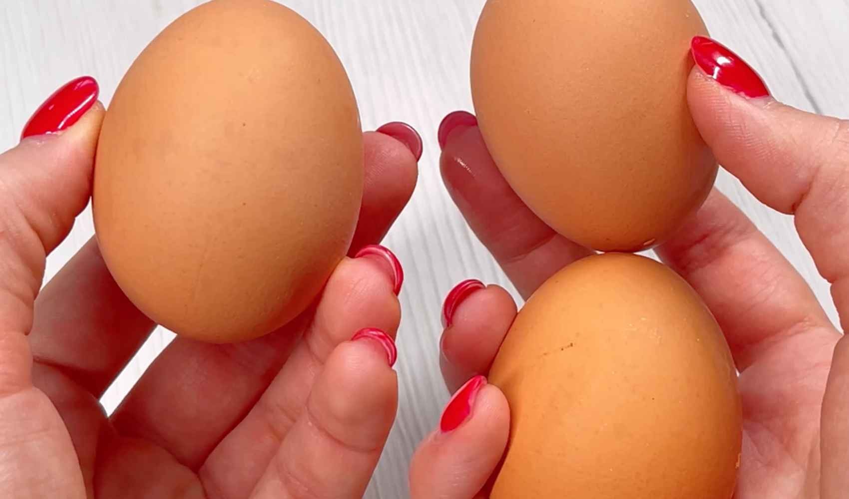 migliori fonti proteiche per uomini guida pratica proteine alimenti massa massa muscolare aumentare la massa muscolare alimentazione proteine in polvere dieta articolo allenamento vita guida fabbisogno costruzione peso corporeo assunzione mattoni salute punto di riferimento fabbisogno proteico attività sport indice dati muscoli quantità età tessuti sistema immunitario proteine vegetali attenzione base apporto frutta secca kg di peso corporeo uomini parte proteine del siero uno organi sito bambini stile corpo nutrizione organismo sportivi peso modo integratore crescita ricchi di proteine barrette proteiche nutrienti integratori esperienza integratori proteici benefici cibi carboidrati prestazioni successo bodybuilding siero del latte grassi muscolo funzioni tipo amminoacidi sintesi catene grammi di proteine aminoacidi indicazioni livello apporto proteico mondo ruolo bodybuilder funzione