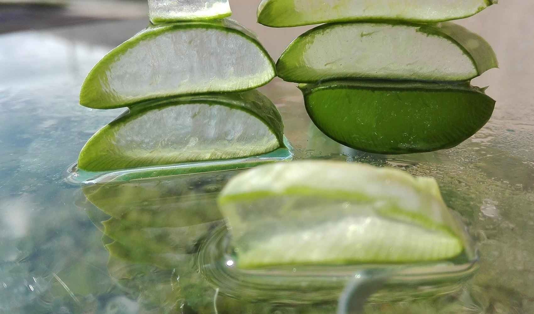 aloe vera per il bruciore di stomaco l aloe vera aloe vera aloe l'aloe vera succo di aloe vera reflusso gastroesofageo stomaco reflusso succo bruciore gastrite rimedio prodotti disagio proprietà disturbi esofago consenso flacone acido intestino sintomi anti bruciore rimedi modo sostanze articoli carrello cibi sodio alginato digestione benefici quantità indicazioni pianta inibitori di pompa protonica sodio bicarbonato contenuti pagina account termini infiammazione uso consulenza acidità farmaci mucosa prodotto cause aloe barbadensis miller gerd uno trattamenti livello azione farmacisti gel stitichezza recensione diarrea acido citrico base esempio condizioni volte salute alimenti farmacia saluti riguardo pareti terapia acquisto commercio dott causa consiglio ricerca abitudini scelta