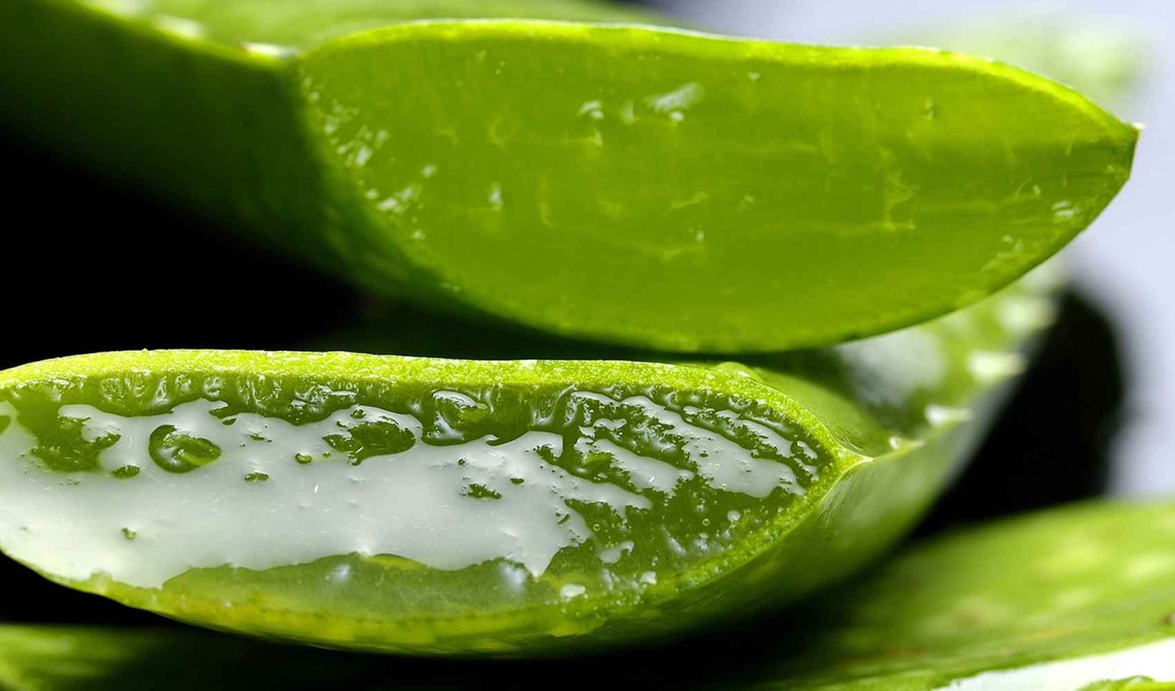 aloe vera per il bruciore di stomaco l aloe vera aloe vera aloe l'aloe vera succo di aloe vera reflusso gastroesofageo stomaco reflusso succo bruciore gastrite rimedio prodotti disagio proprietà disturbi esofago consenso flacone acido intestino sintomi anti bruciore rimedi modo sostanze articoli carrello cibi sodio alginato digestione benefici quantità indicazioni pianta inibitori di pompa protonica sodio bicarbonato contenuti pagina account termini infiammazione uso consulenza acidità farmaci mucosa prodotto cause aloe barbadensis miller gerd uno trattamenti livello azione farmacisti gel stitichezza recensione diarrea acido citrico base esempio condizioni volte salute alimenti farmacia saluti riguardo pareti terapia acquisto commercio dott causa consiglio ricerca abitudini scelta