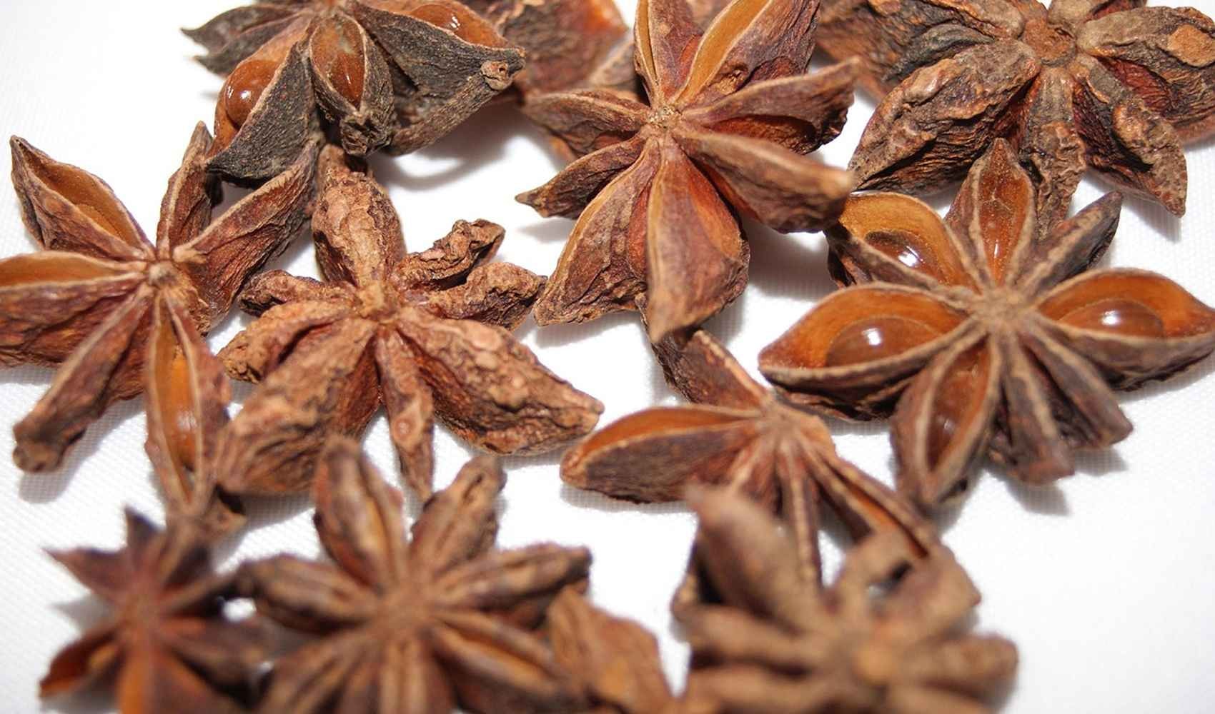 anice stellato proprietà e usi anice stellato anice sistema immunitario illicium verum l'anice stellato proprietà dell'anice stellato semi spezia illicium anisatum cucina spezie benefici pianta vie respiratorie acido scichimico maggior parte illicium salute proprietà dell'anice stellato specie vitamina c acido shikimico acne valori generale effetto infezioni gusto prodotto pietanze libro albero polvere benessere controindicazioni asia europa note una olio cina stella forma frutti vietnam giapponese famiglia aspetto sapore cinese anetolo sud fiori usi farmacologia foglie prodotti calorie olio essenziale liquirizia pelle dieta risultati infusi nome punte frutto produzione impurità attenzione articoli fonte ingrediente rimedio tipo dolci sostanze liquori caso