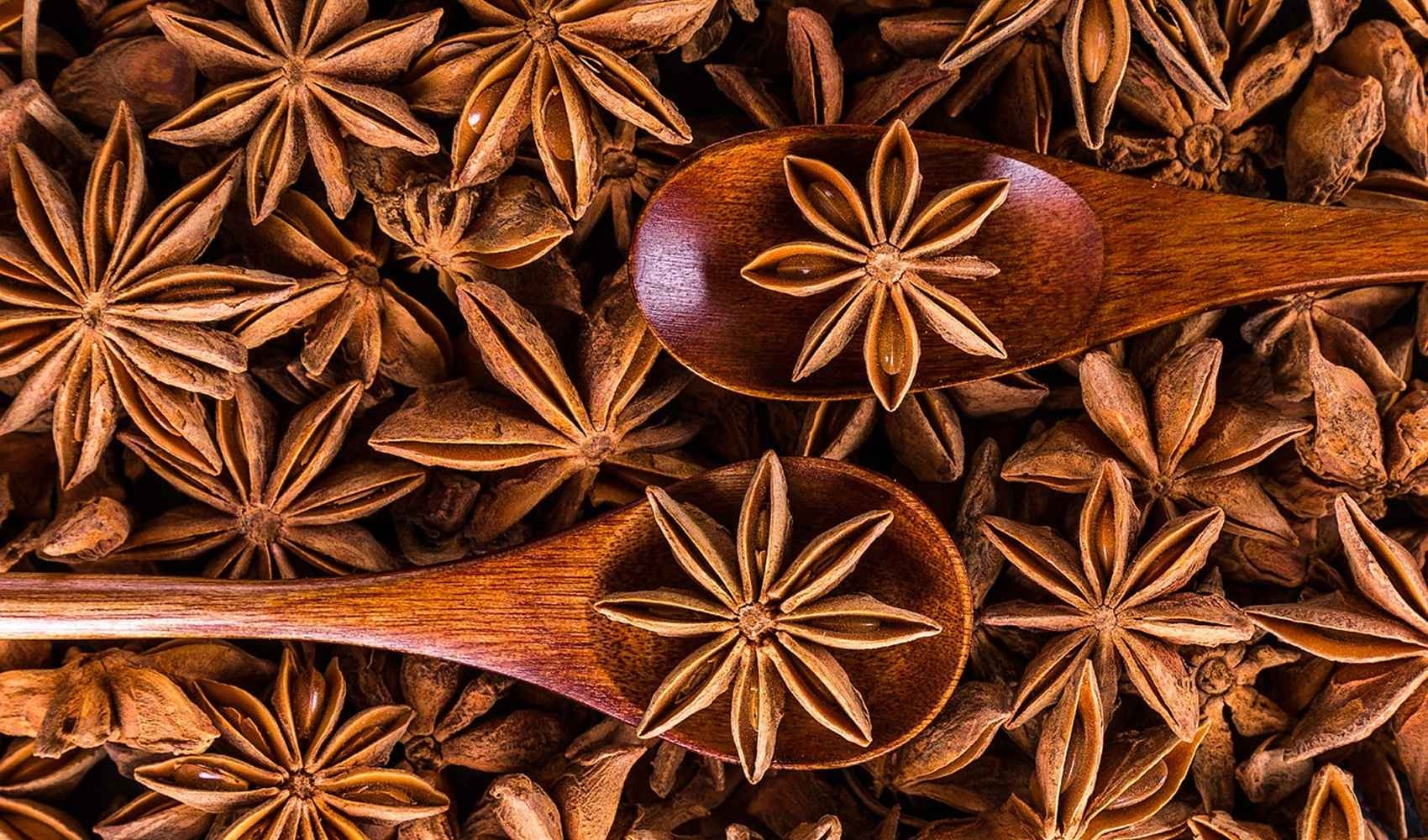 anice stellato proprietà e usi anice stellato anice sistema immunitario illicium verum l'anice stellato proprietà dell'anice stellato semi spezia illicium anisatum cucina spezie benefici pianta vie respiratorie acido scichimico maggior parte illicium salute proprietà dell'anice stellato specie vitamina c acido shikimico acne valori generale effetto infezioni gusto prodotto pietanze libro albero polvere benessere controindicazioni asia europa note una olio cina stella forma frutti vietnam giapponese famiglia aspetto sapore cinese anetolo sud fiori usi farmacologia foglie prodotti calorie olio essenziale liquirizia pelle dieta risultati infusi nome punte frutto produzione impurità attenzione articoli fonte ingrediente rimedio tipo dolci sostanze liquori caso