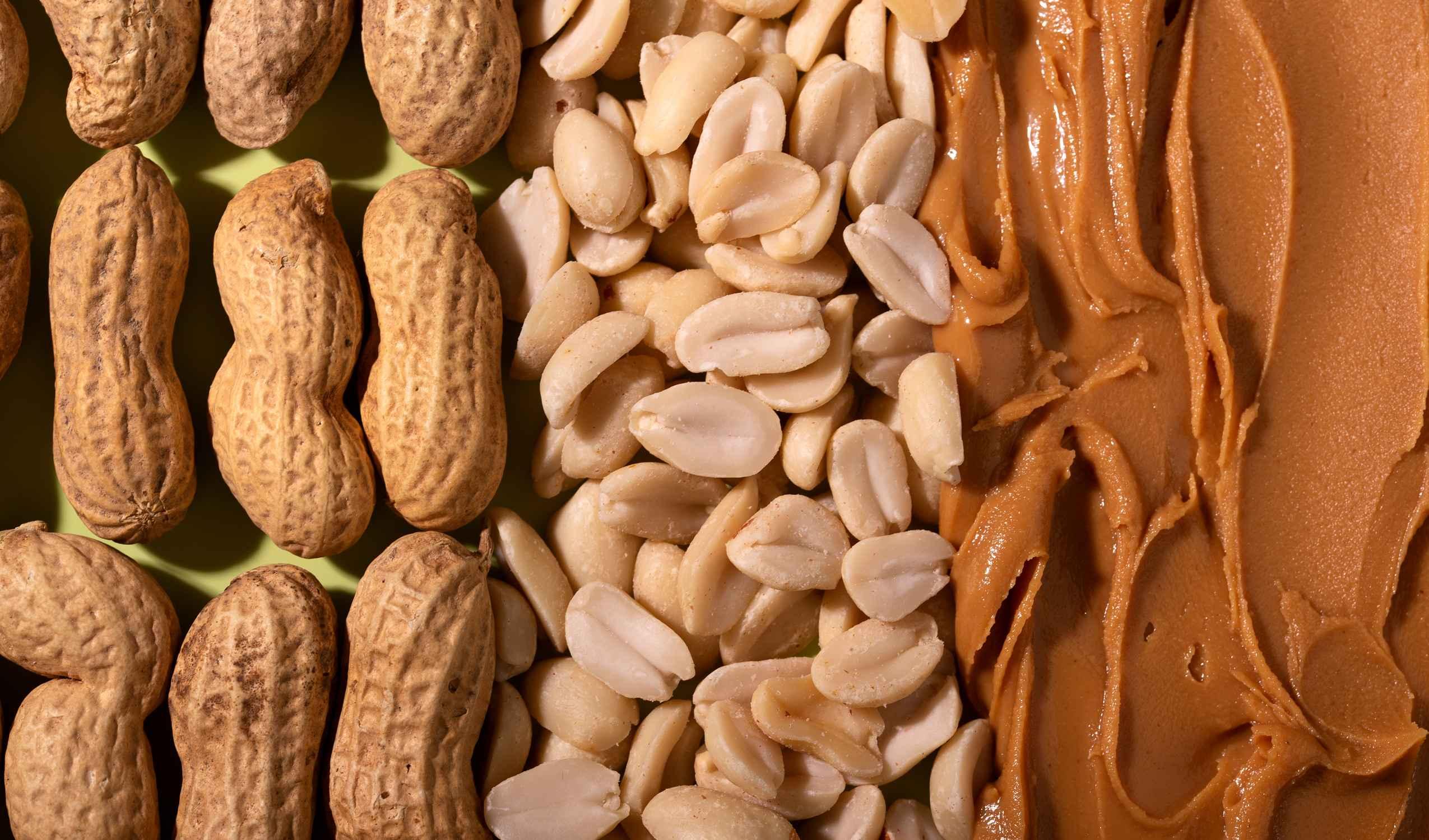 proprietà delle arachidi come queste noccioline possono migliorare la tua salute arachis hypogaea arachidi noccioline americane proprietà centro america sud america benefici omega 3 vitamine del gruppo b frutta secca a guscio nutrienti noccioline benefici delle arachidi proteine controindicazioni frutta ricette contenuto antiossidanti controindicazioni delle arachidi biocanina a semi stati uniti frutta secca alimento colesterolo acido p cumarico minerali famiglia arachide americane malattie vitamina b3 omega 6 ridurre il colesterolo obesità legume olio apporto guscio profilo tipo legumi vitamine proprietà nutrizionali grassi consumo vitamina b1 leguminosae momenti ricchezza alimenti diete consigli burro arachidi proprietà sistema immunitario esempio produttori colesterolo cattivo aperitivi pianta grassi monoinsaturi livello dolci fonte nutrizionista leguminose quantità fibre vitamina attività burro di arachidi snack studi allergia salute cucina qualità mondo