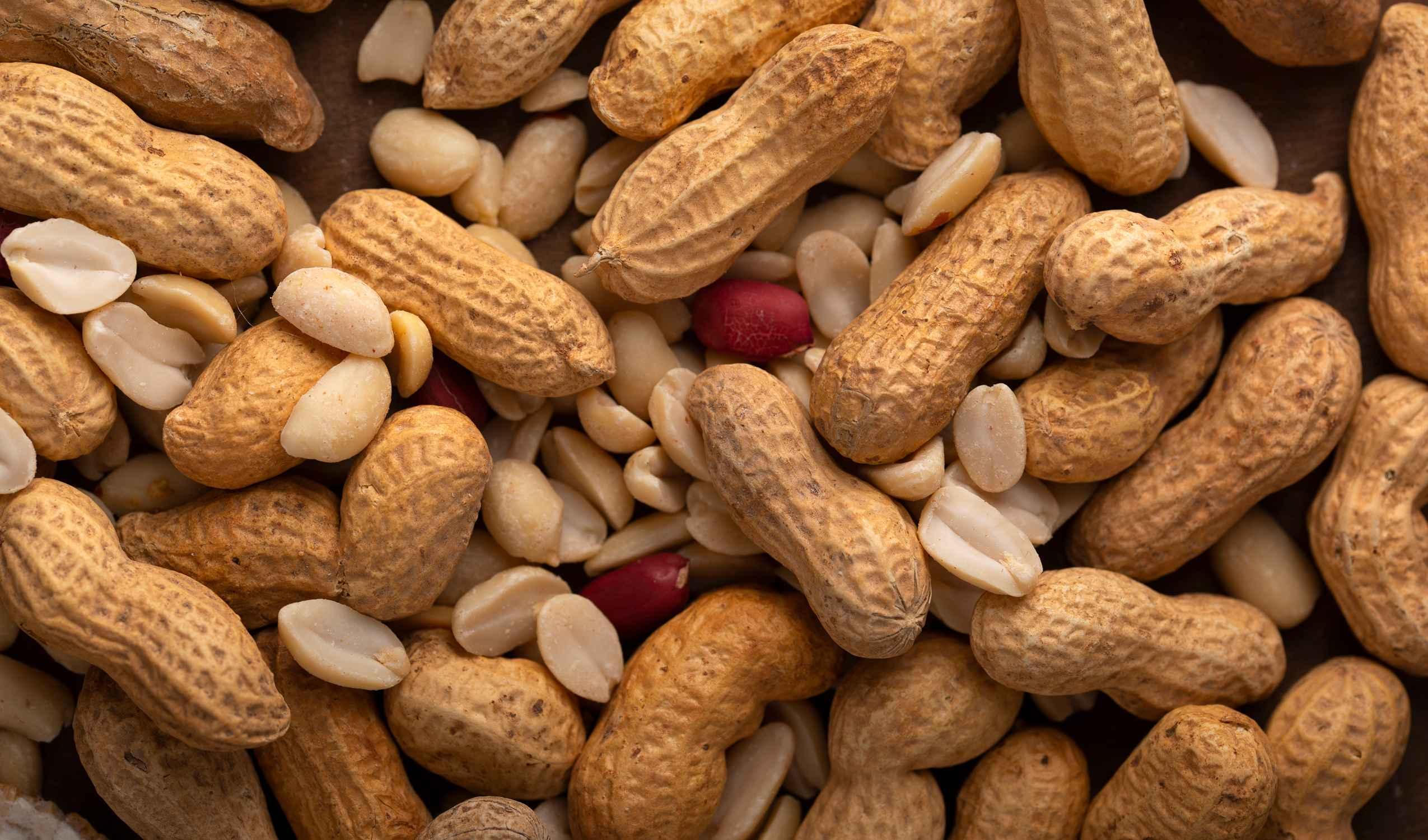 proprietà delle arachidi come queste noccioline possono migliorare la tua salute arachis hypogaea arachidi noccioline americane proprietà centro america sud america benefici omega 3 vitamine del gruppo b frutta secca a guscio nutrienti noccioline benefici delle arachidi proteine controindicazioni frutta ricette contenuto antiossidanti controindicazioni delle arachidi biocanina a semi stati uniti frutta secca alimento colesterolo acido p cumarico minerali famiglia arachide americane malattie vitamina b3 omega 6 ridurre il colesterolo obesità legume olio apporto guscio profilo tipo legumi vitamine proprietà nutrizionali grassi consumo vitamina b1 leguminosae momenti ricchezza alimenti diete consigli burro arachidi proprietà sistema immunitario esempio produttori colesterolo cattivo aperitivi pianta grassi monoinsaturi livello dolci fonte nutrizionista leguminose quantità fibre vitamina attività burro di arachidi snack studi allergia salute cucina qualità mondo