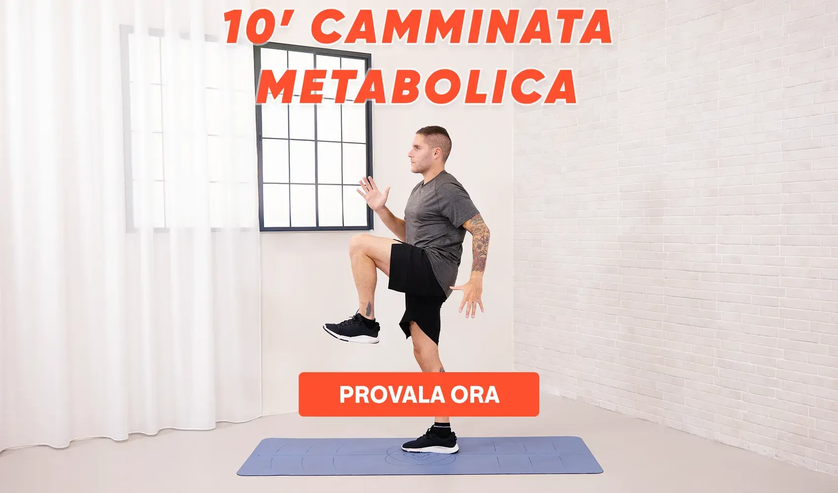 allenamento metabolico brucia grassi e tonico in 30 min workout metabolismo instagram allenamento altro corpo esercizi grassi total body livello casa intensità novità gambe allenamenti visualizzazioni peso cardio modo total articolo maniera forma commenti stato esercizio pausa link movimenti energia recupero forza salti difficoltà lavoro consumo calorie obiettivi risultati grasso consumi programmi ideale base alimentazione aspetto fitness donne glutei circuito youtube salute volte possibilità sito parte perdita braccia fisico bilancio corsa alta intensità condivisione sessione postura vivo facebook punto composizione dimagrimento attività media stress tipologia ritmo concetti uno caso livelli camminata