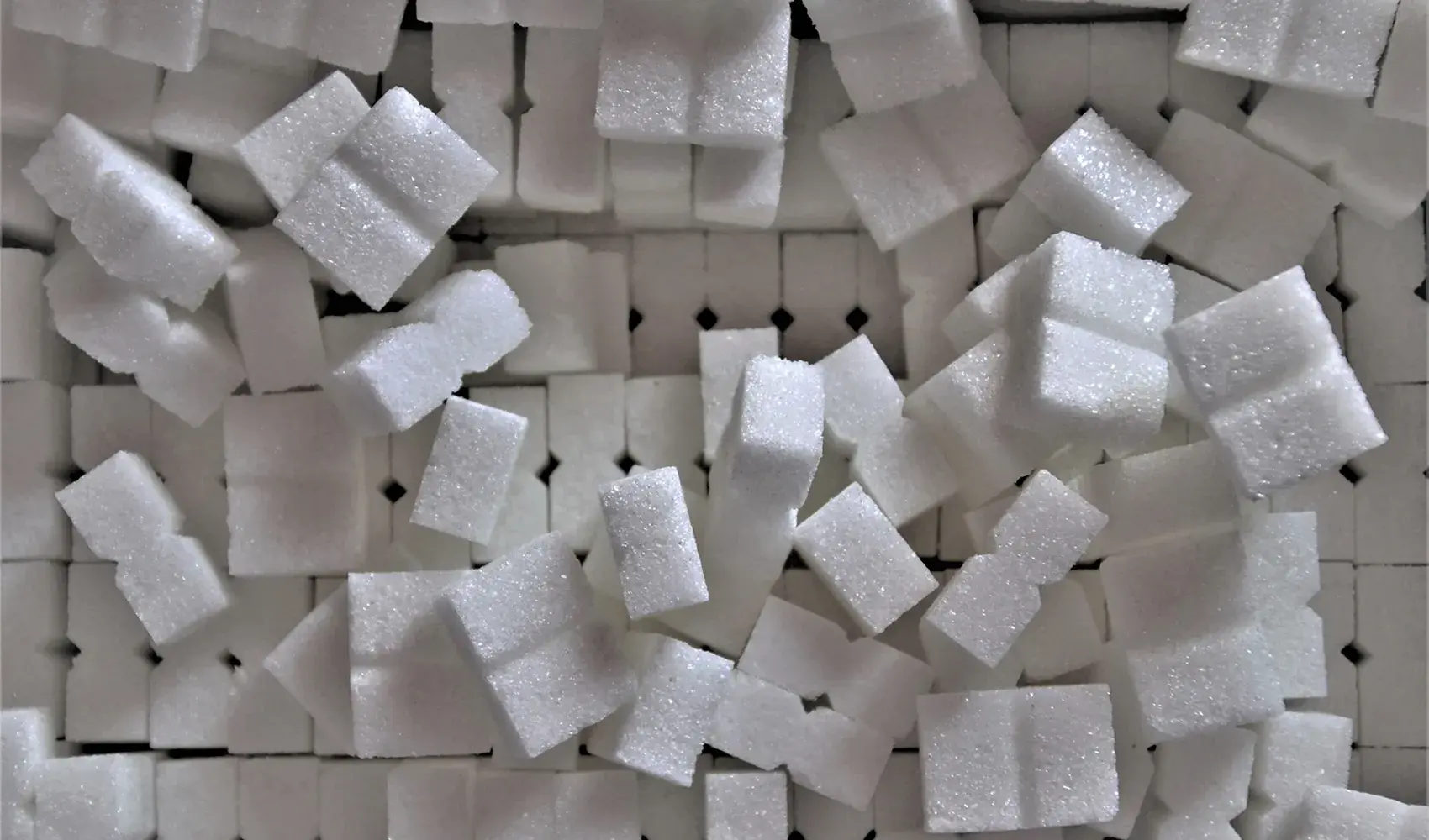 zucchero di cocco palma da cocco zucchero di palma zucchero cocco indice zucchero bianco indice glicemico proprietà dolcificante salute zuccheri cos dolcificanti alternativa linfa valori zucchero di canna canna agricoltura diabetici calorie palma fiore sostanze tipo sapore tavola energia uno fiori caratteristiche alternative diffusione attenzione processo caramello alimentazione punto di vista retrogusto cucina granuli benessere popolarità estratto saccarosio ingrediente produzione inulina categorie cosa dolci acqua cristalli pianta glucosio composizione nutrienti fruttosio risultato raccolta prodotto minimo benefici sciroppo meglio nettare livello quantità obesità vitamine temperature fibra palme torte frutto sostituto scelta consistenza qualcosa gusto