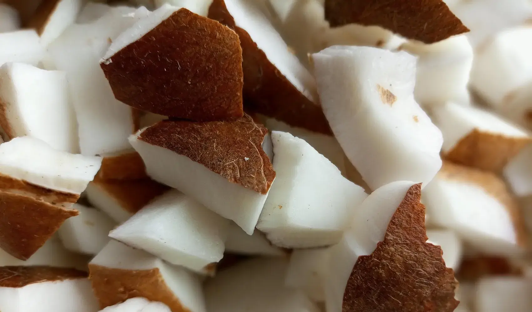 zucchero di cocco palma da cocco zucchero di palma zucchero cocco indice zucchero bianco indice glicemico proprietà dolcificante salute zuccheri cos dolcificanti alternativa linfa valori zucchero di canna canna agricoltura diabetici calorie palma fiore sostanze tipo sapore tavola energia uno fiori caratteristiche alternative diffusione attenzione processo caramello alimentazione punto di vista retrogusto cucina granuli benessere popolarità estratto saccarosio ingrediente produzione inulina categorie cosa dolci acqua cristalli pianta glucosio composizione nutrienti fruttosio risultato raccolta prodotto minimo benefici sciroppo meglio nettare livello quantità obesità vitamine temperature fibra palme torte frutto sostituto scelta consistenza qualcosa gusto