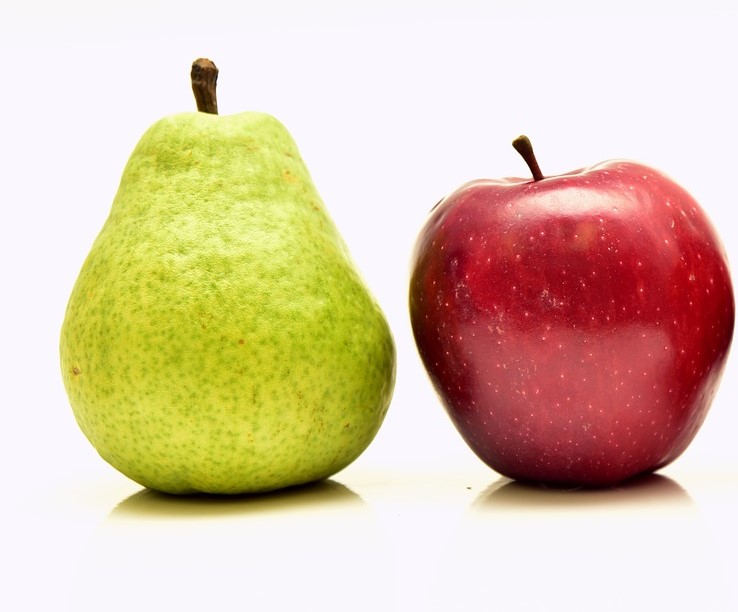 Ein Birne und ein Apfel stehen auf einem weißen Hintergrund nebeneinander.