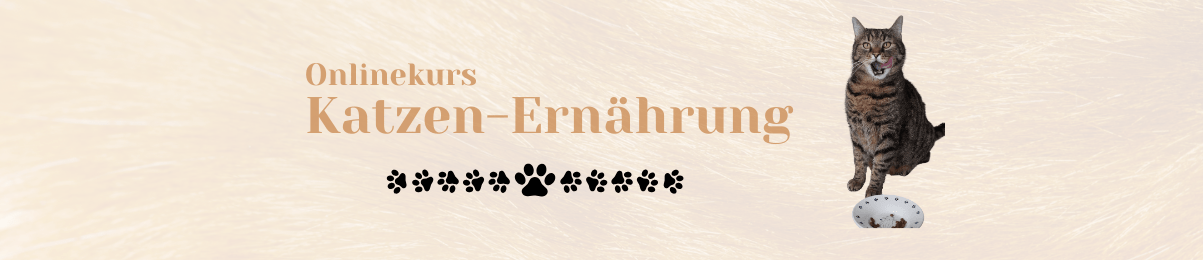 Banner vom Onlinekurs Katzen-Ernährung. Katze mit Napf.