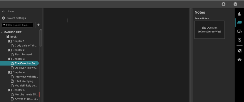 Screenshot of the Dabble Manuscript.