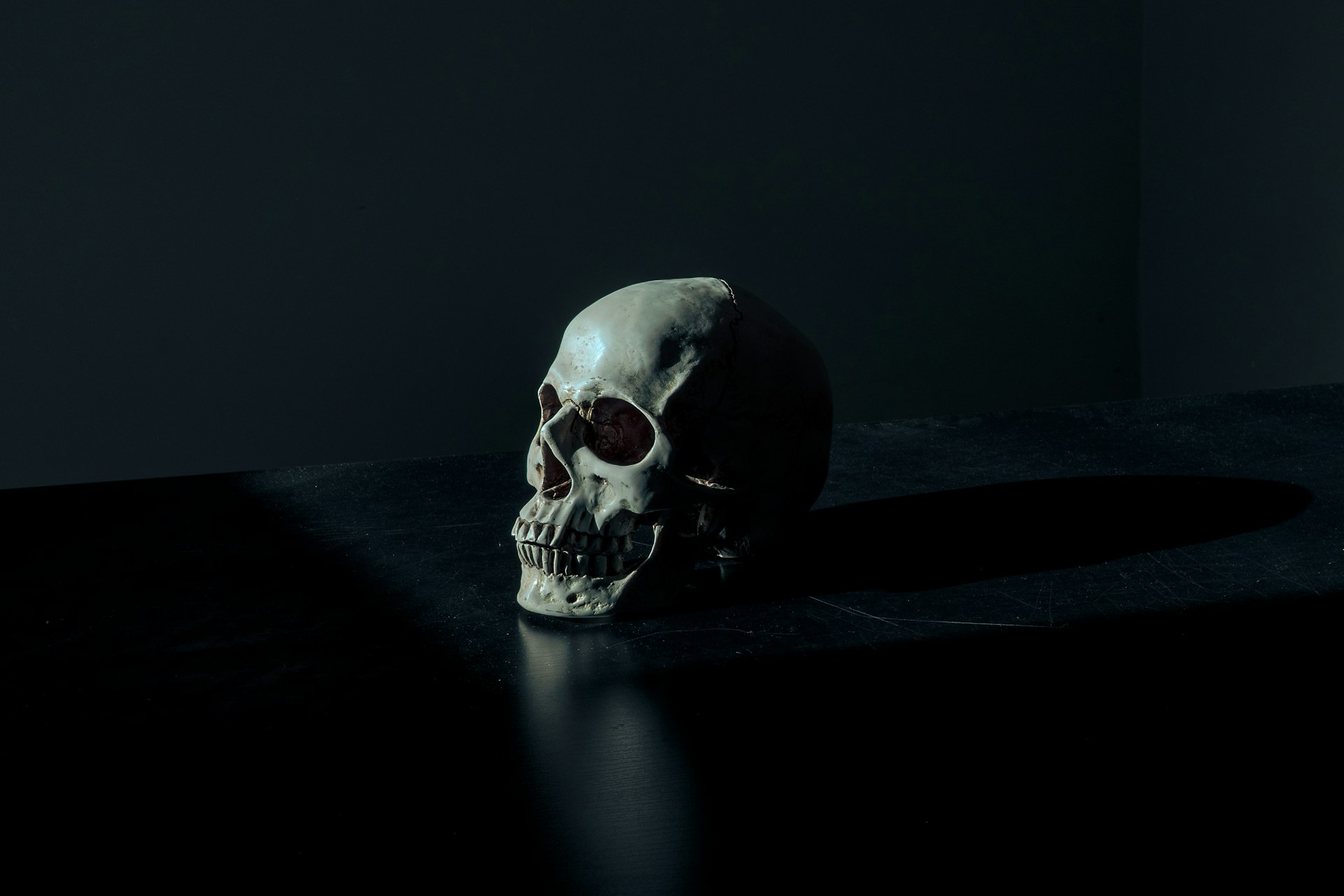A human skull on a shadowy background.