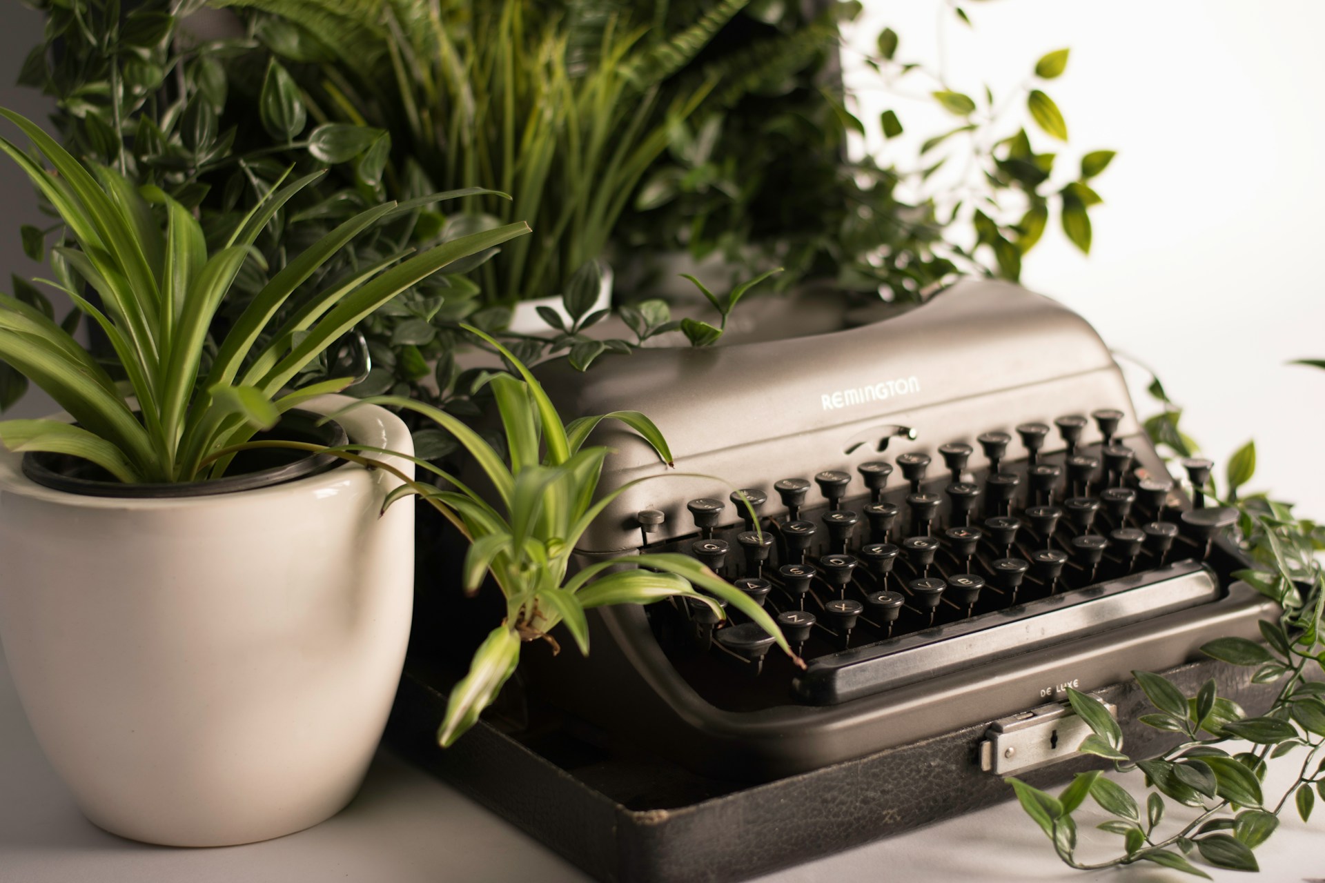 A typewriter surrounded by potted plants.