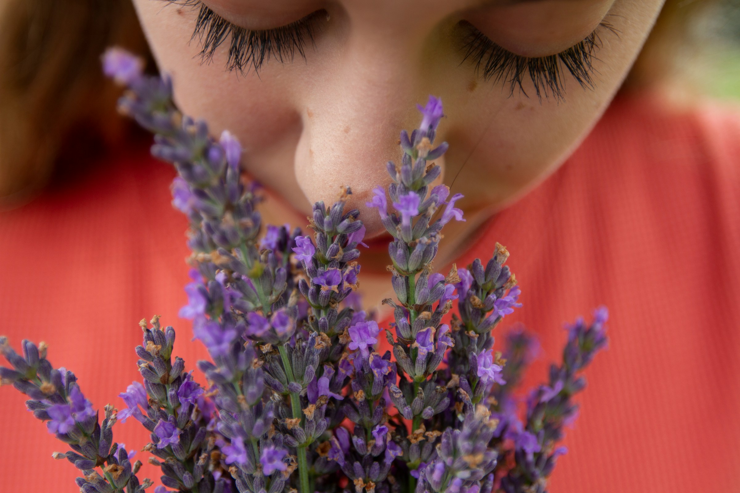 A person smells a bouquet of lavender.